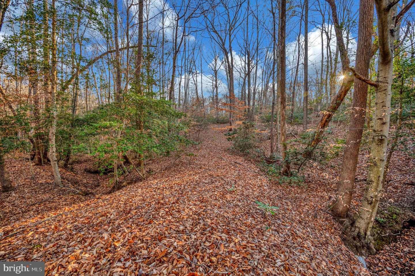 93 DENT RD, STAFFORD, Virginia 22554, ,Land,For sale,93 DENT RD,VAST2045380 MLS # VAST2045380