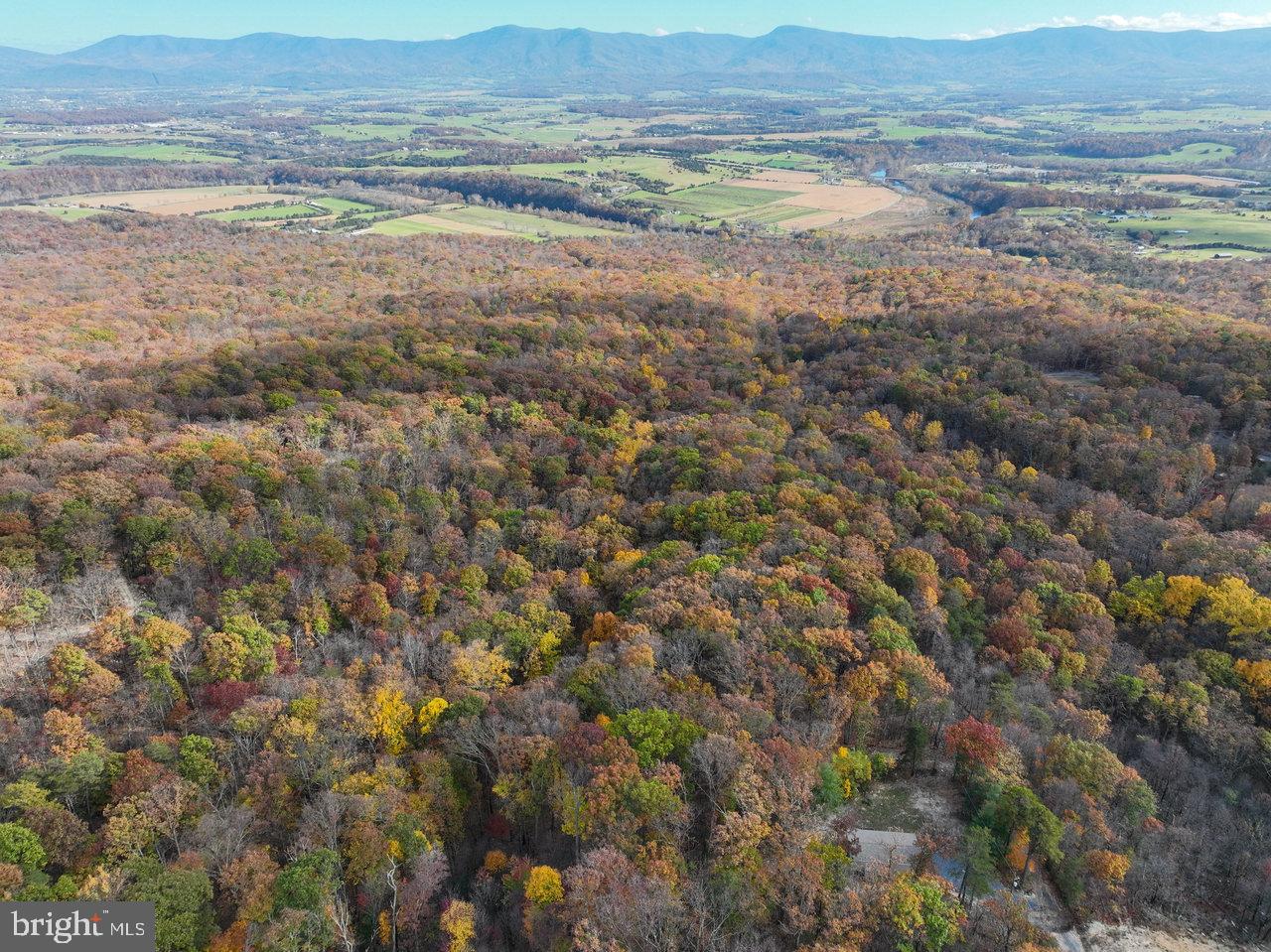 187 HOLLY HILL RD, LURAY, Virginia 22835, 3 Bedrooms Bedrooms, 5 Rooms Rooms,2 BathroomsBathrooms,Residential,For sale,187 HOLLY HILL RD,VAPA2005804 MLS # VAPA2005804