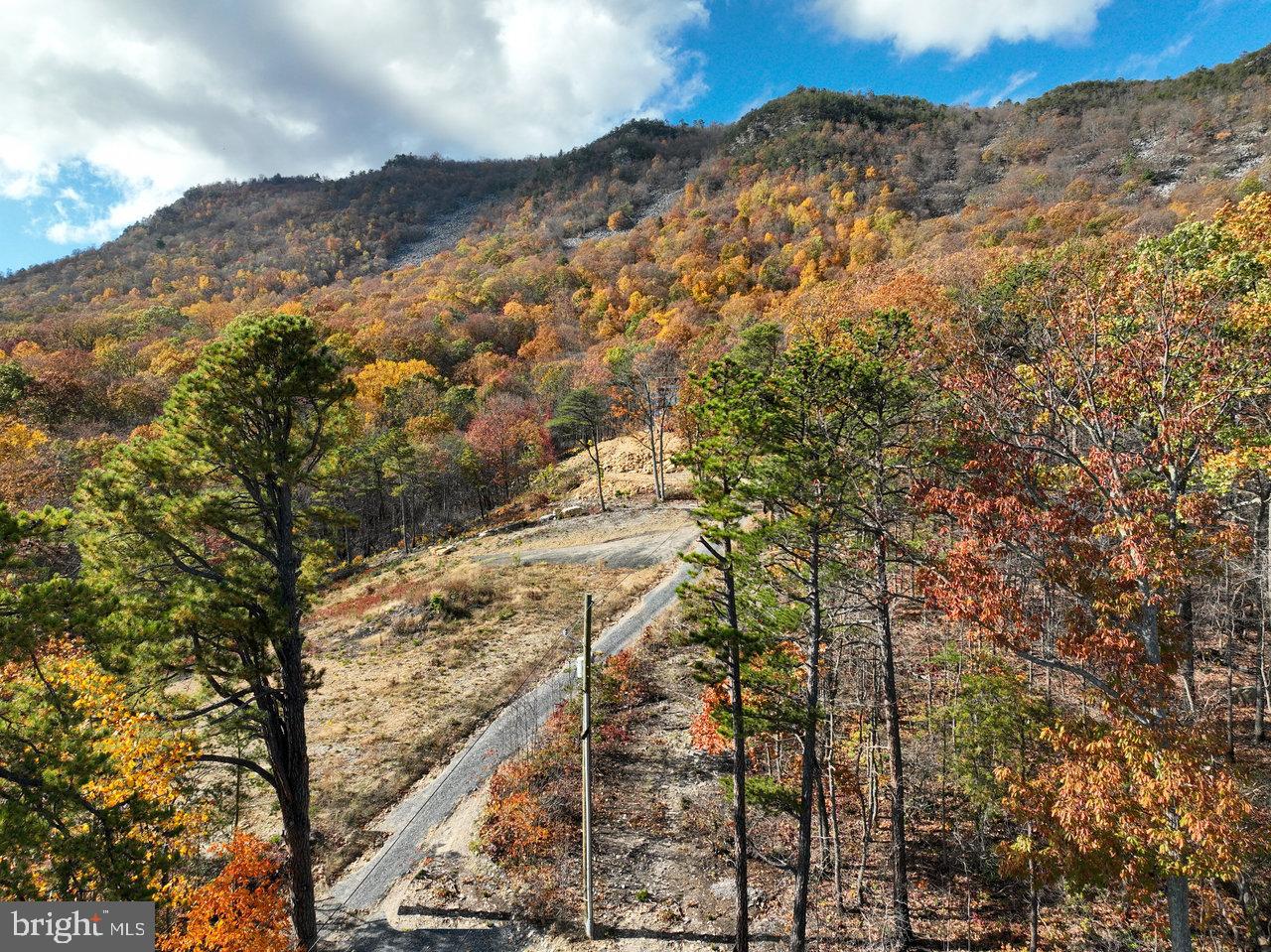 187 HOLLY HILL RD, LURAY, Virginia 22835, 3 Bedrooms Bedrooms, 5 Rooms Rooms,2 BathroomsBathrooms,Residential,For sale,187 HOLLY HILL RD,VAPA2005804 MLS # VAPA2005804