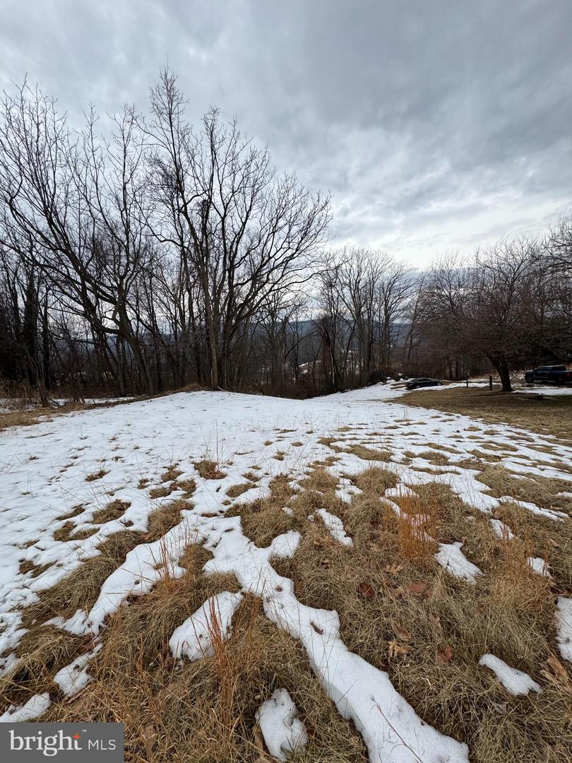 LEEDS MANOR ROAD, MARSHALL, Virginia 20115, ,Land,For sale,LEEDS MANOR ROAD,VAFQ2020324 MLS # VAFQ2020324