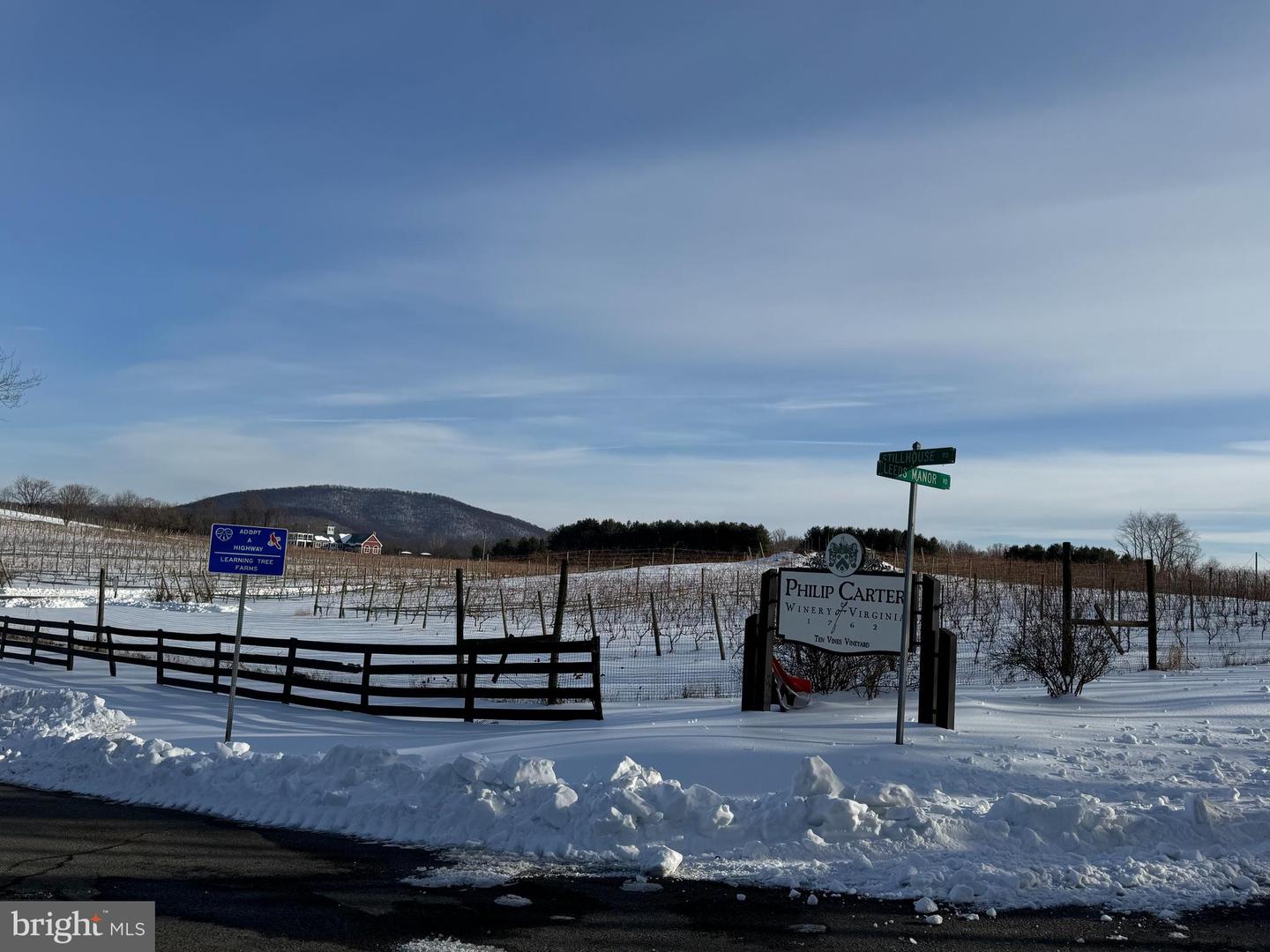 LEEDS MANOR ROAD, MARSHALL, Virginia 20115, ,Land,For sale,LEEDS MANOR ROAD,VAFQ2020324 MLS # VAFQ2020324 LEEDS MANOR ROAD, MARSHALL, Virginia 20115, ,Land,For sale,LEEDS MANOR ROAD,VAFQ2020324 MLS # VAFQ2020324