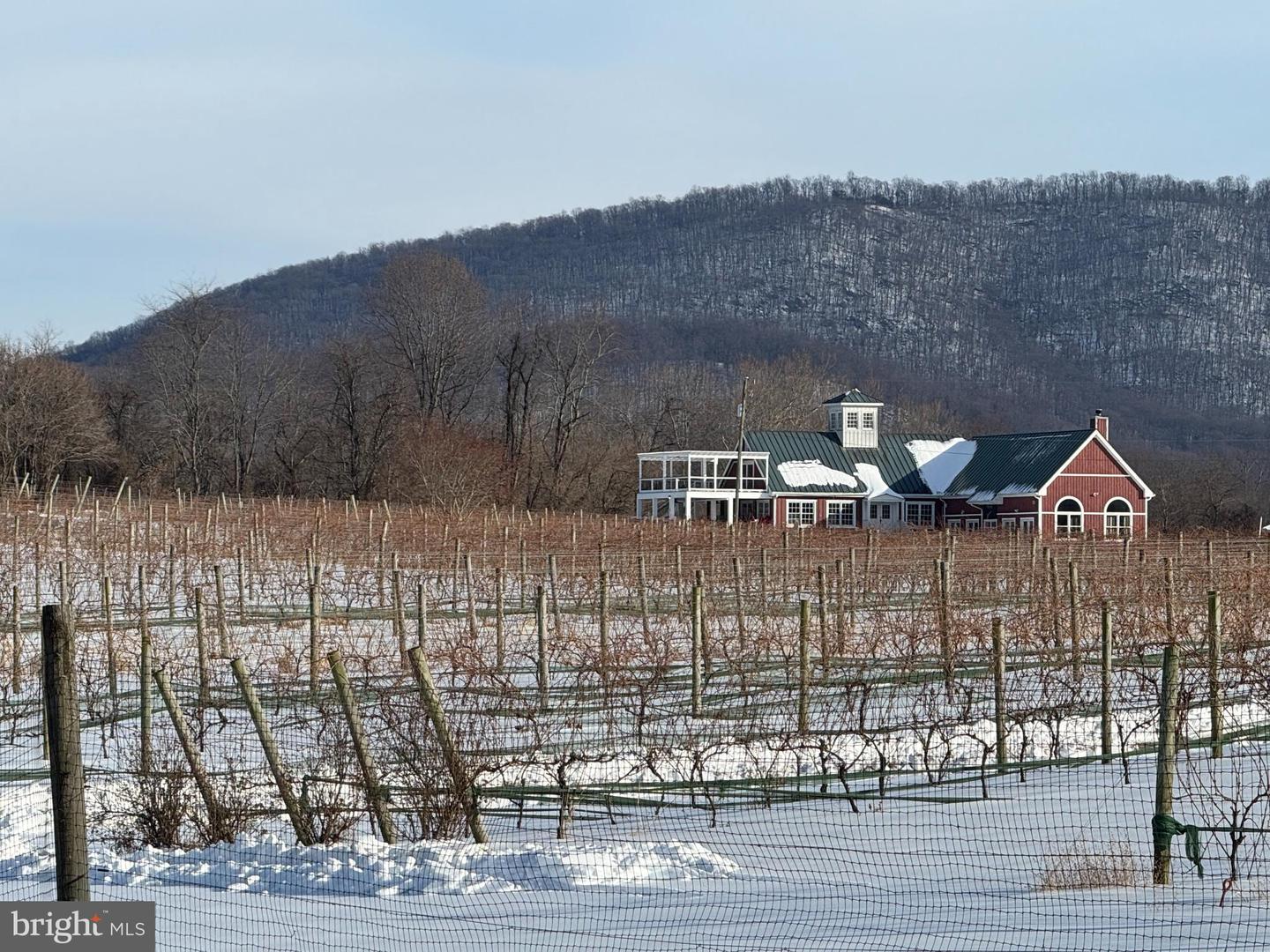LEEDS MANOR ROAD, MARSHALL, Virginia 20115, ,Land,For sale,LEEDS MANOR ROAD,VAFQ2020324 MLS # VAFQ2020324 LEEDS MANOR ROAD, MARSHALL, Virginia 20115, ,Land,For sale,LEEDS MANOR ROAD,VAFQ2020324 MLS # VAFQ2020324