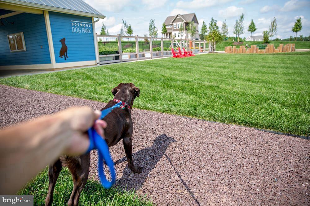 531 APRICOT ST, STAFFORD, Virginia 22554, 6 Bedrooms Bedrooms, ,5 BathroomsBathrooms,Residential,For sale,531 APRICOT ST,VAST2045274 MLS # VAST2045274 531 APRICOT ST, STAFFORD, Virginia 22554, 6 Bedrooms Bedrooms, ,5 BathroomsBathrooms,Residential,For sale,531 APRICOT ST,VAST2045274 MLS # VAST2045274