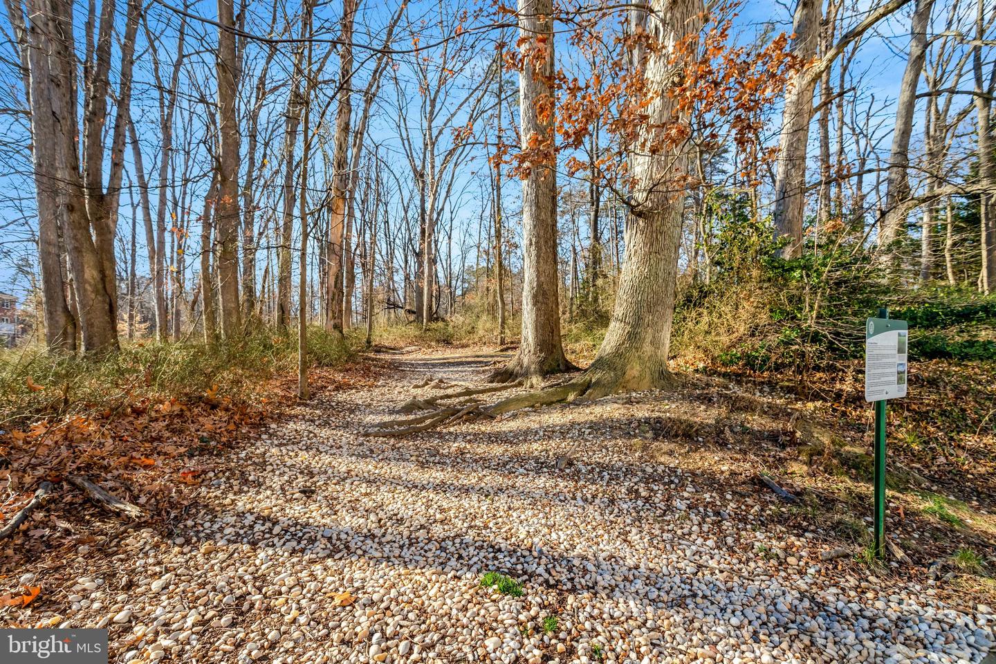 2500 N VAN DORN ST #521, ALEXANDRIA, Virginia 22302, 2 Bedrooms Bedrooms, ,2 BathroomsBathrooms,Residential,For sale,2500 N VAN DORN ST #521,VAAX2053294 MLS # VAAX2053294 2500 N VAN DORN ST #521, ALEXANDRIA, Virginia 22302, 2 Bedrooms Bedrooms, ,2 BathroomsBathrooms,Residential,For sale,2500 N VAN DORN ST #521,VAAX2053294 MLS # VAAX2053294