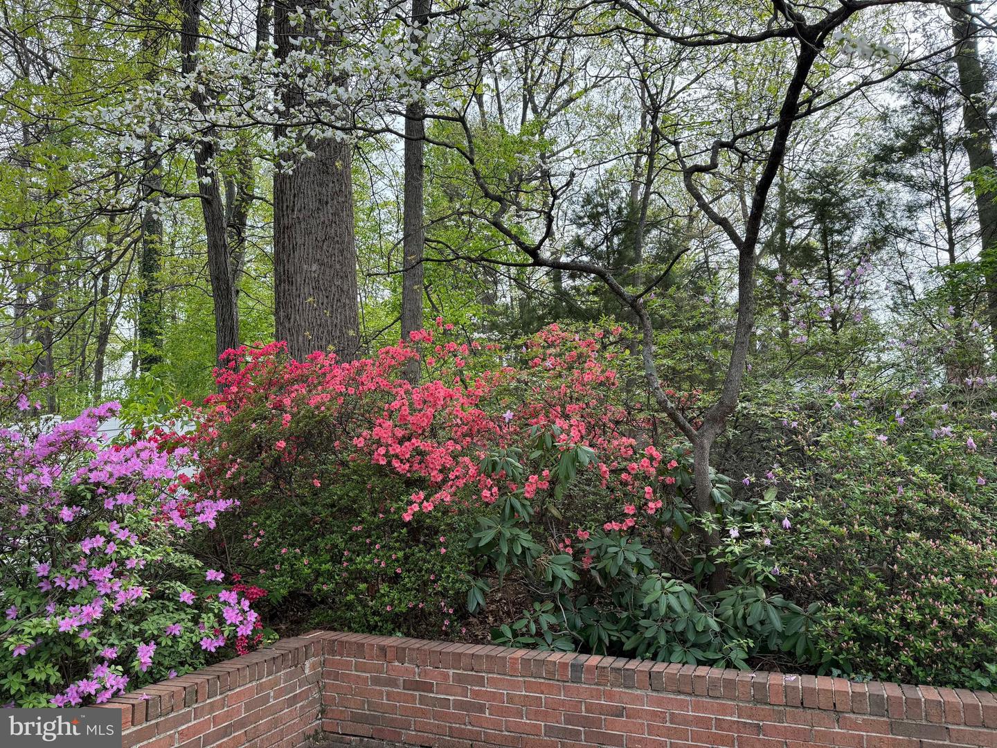 521 CREEK CROSSING RD NE, VIENNA, Virginia 22180, 5 Bedrooms Bedrooms, ,3 BathroomsBathrooms,Residential,For sale,521 CREEK CROSSING RD NE,VAFX2286688 MLS # VAFX2286688