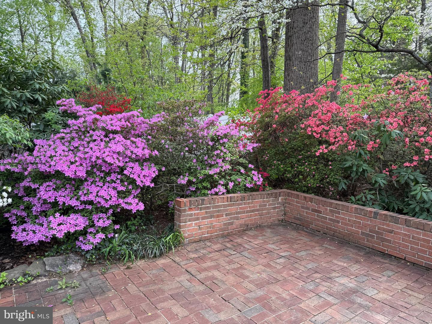 521 CREEK CROSSING RD NE, VIENNA, Virginia 22180, 5 Bedrooms Bedrooms, ,3 BathroomsBathrooms,Residential,For sale,521 CREEK CROSSING RD NE,VAFX2286688 MLS # VAFX2286688