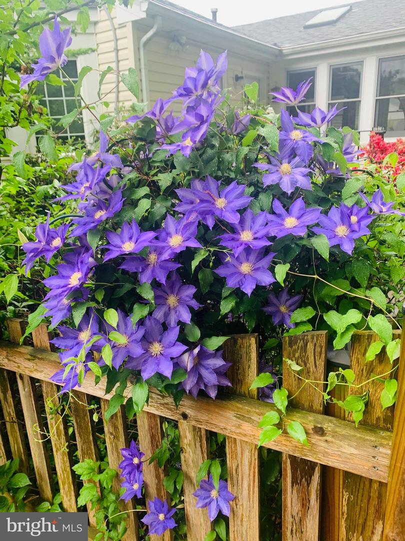 8130 BRIAR CREEK DR, ANNANDALE, Virginia 22003, 6 Bedrooms Bedrooms, ,4 BathroomsBathrooms,Residential,For sale,8130 BRIAR CREEK DR,VAFX2287186 MLS # VAFX2287186