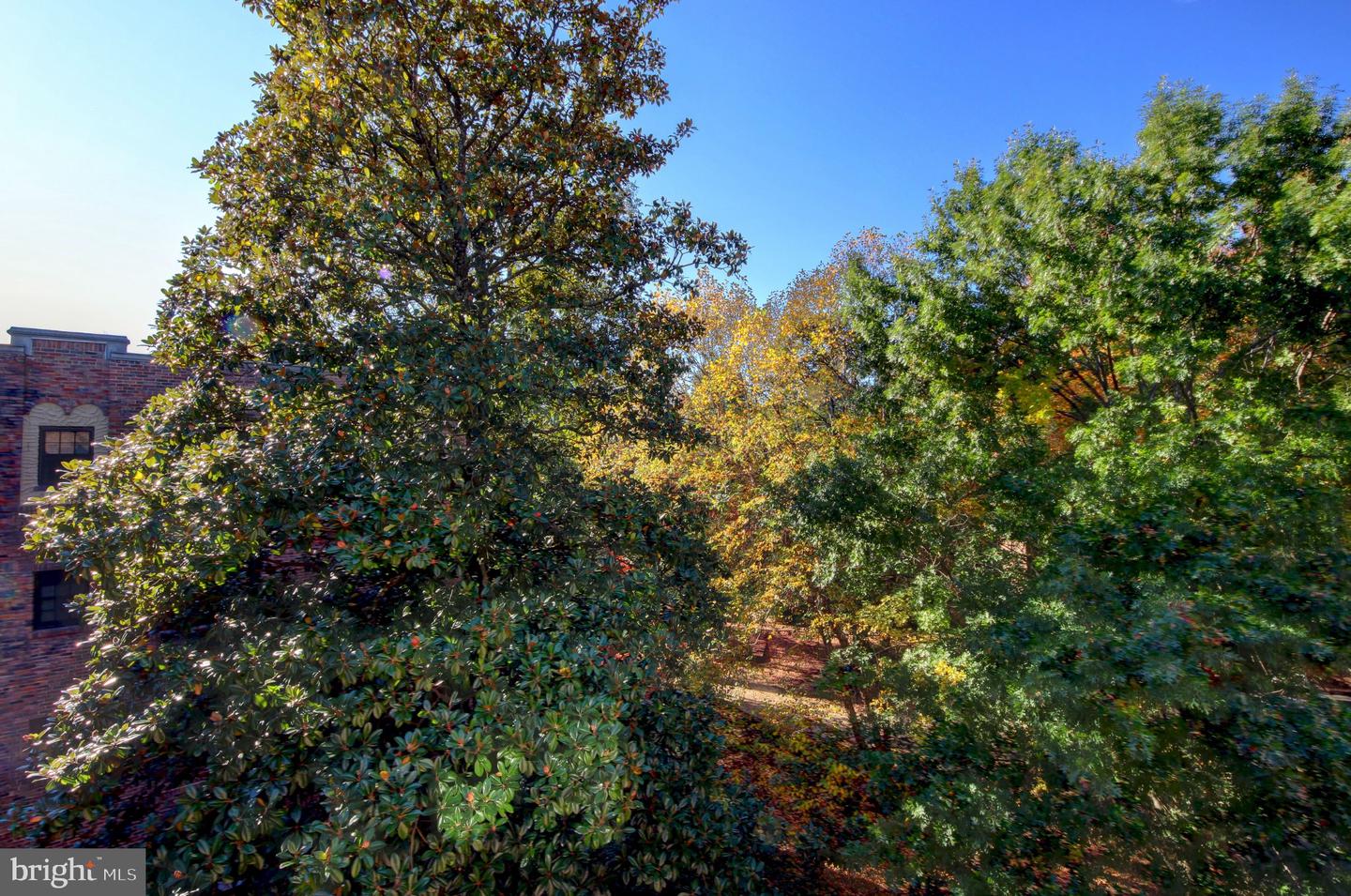 3000 TILDEN ST NW #501-I, WASHINGTON, District Of Columbia 20008, 3 Bedrooms Bedrooms, 9 Rooms Rooms,2 BathroomsBathrooms,Residential,For sale,3000 TILDEN ST NW #501-I,DCDC2243306 MLS # DCDC2243306