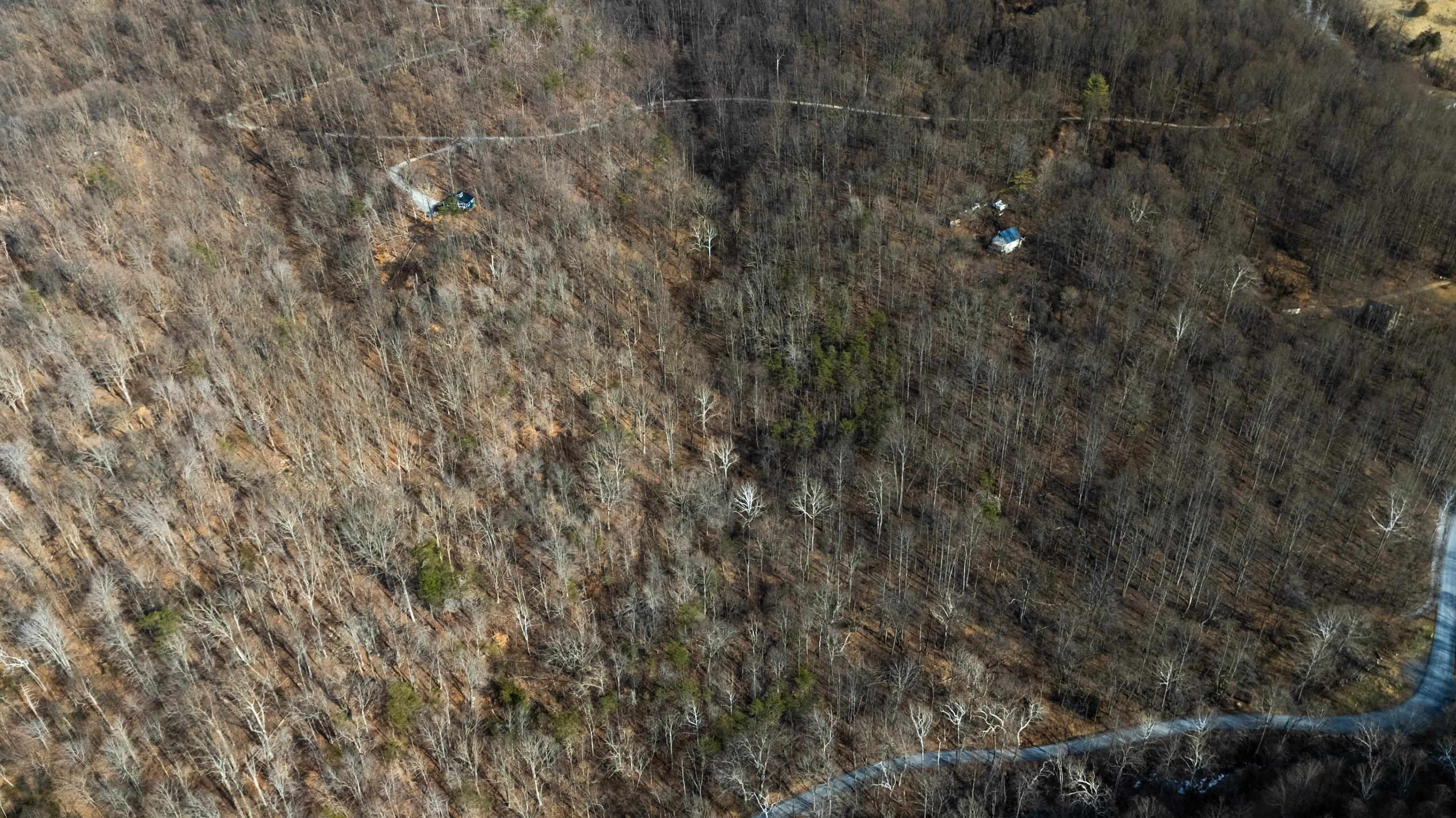 TBD HENSLEY HOLLOW, ELKTON, Virginia 22827, ,Land,TBD HENSLEY HOLLOW,672867 MLS # 672867 TBD HENSLEY HOLLOW, ELKTON, Virginia 22827, ,Land,TBD HENSLEY HOLLOW,672867 MLS # 672867