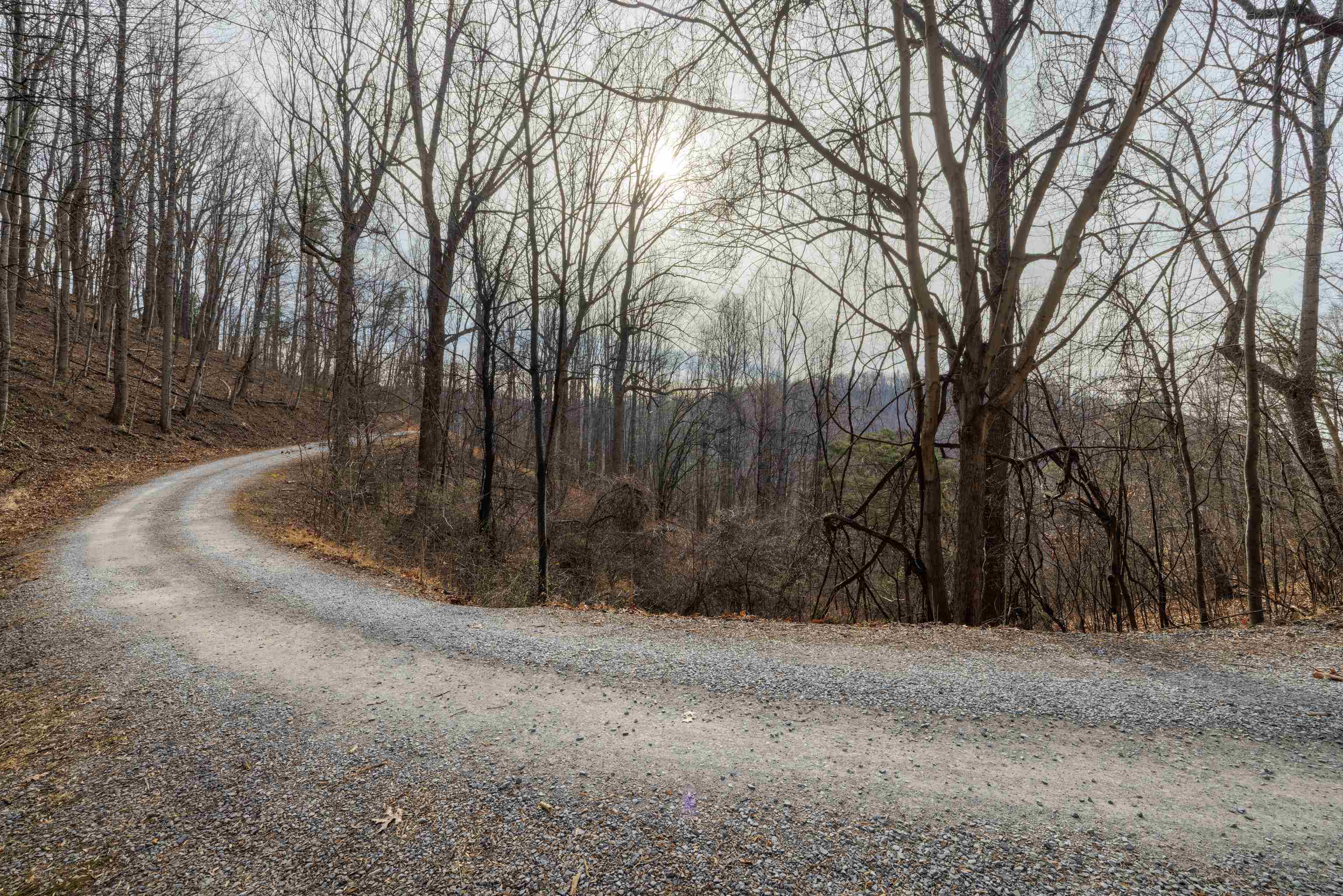TBD HENSLEY HOLLOW, ELKTON, Virginia 22827, ,Land,TBD HENSLEY HOLLOW,672867 MLS # 672867 TBD HENSLEY HOLLOW, ELKTON, Virginia 22827, ,Land,TBD HENSLEY HOLLOW,672867 MLS # 672867