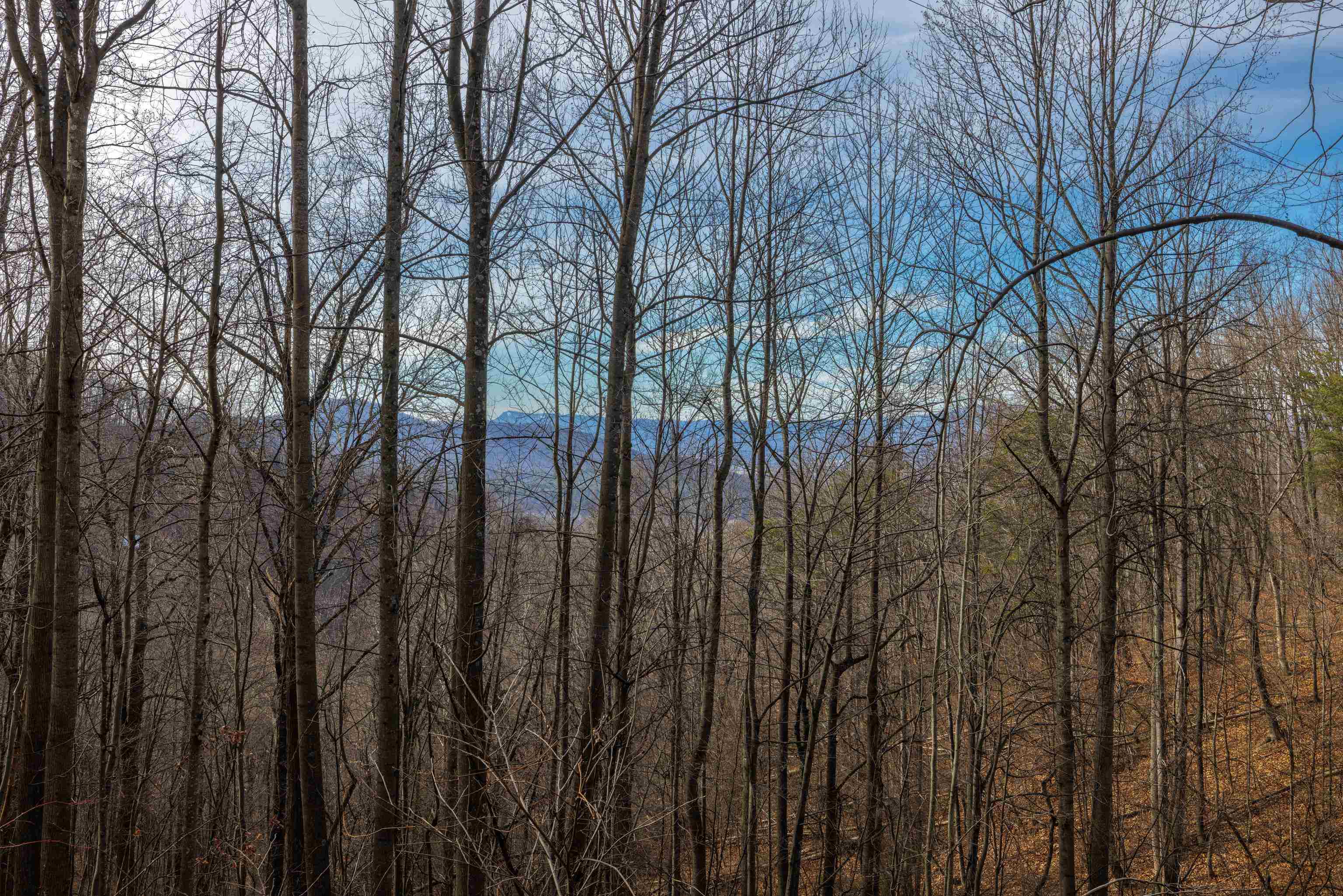 TBD HENSLEY HOLLOW, ELKTON, Virginia 22827, ,Land,TBD HENSLEY HOLLOW,672867 MLS # 672867 TBD HENSLEY HOLLOW, ELKTON, Virginia 22827, ,Land,TBD HENSLEY HOLLOW,672867 MLS # 672867