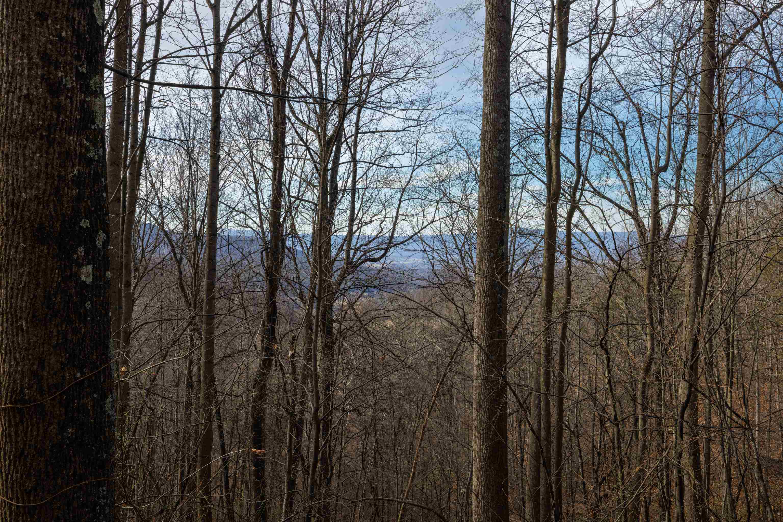 TBD HENSLEY HOLLOW, ELKTON, Virginia 22827, ,Land,TBD HENSLEY HOLLOW,672867 MLS # 672867 TBD HENSLEY HOLLOW, ELKTON, Virginia 22827, ,Land,TBD HENSLEY HOLLOW,672867 MLS # 672867