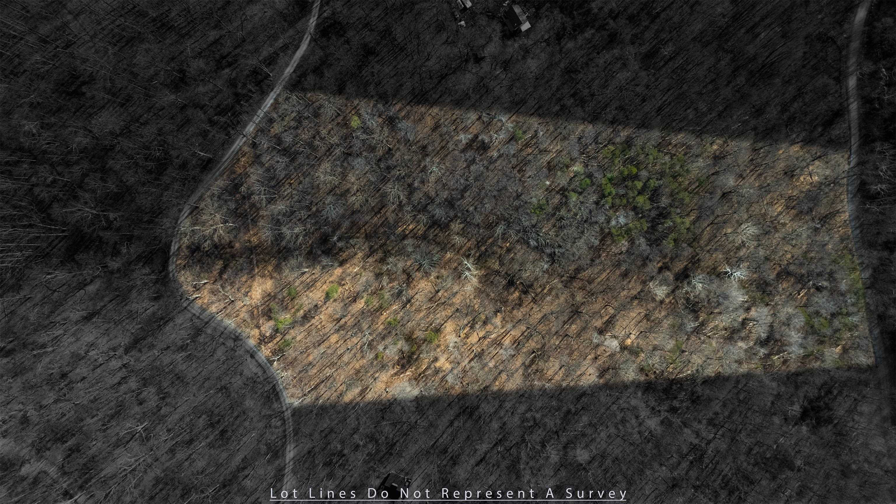 TBD HENSLEY HOLLOW, ELKTON, Virginia 22827, ,Land,TBD HENSLEY HOLLOW,672867 MLS # 672867 TBD HENSLEY HOLLOW, ELKTON, Virginia 22827, ,Land,TBD HENSLEY HOLLOW,672867 MLS # 672867