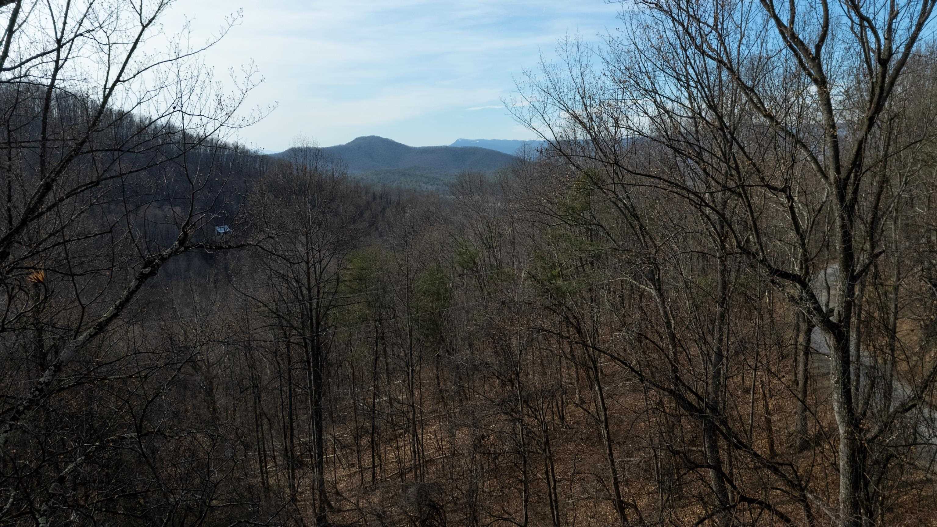 TBD HENSLEY HOLLOW, ELKTON, Virginia 22827, ,Land,TBD HENSLEY HOLLOW,672867 MLS # 672867 TBD HENSLEY HOLLOW, ELKTON, Virginia 22827, ,Land,TBD HENSLEY HOLLOW,672867 MLS # 672867