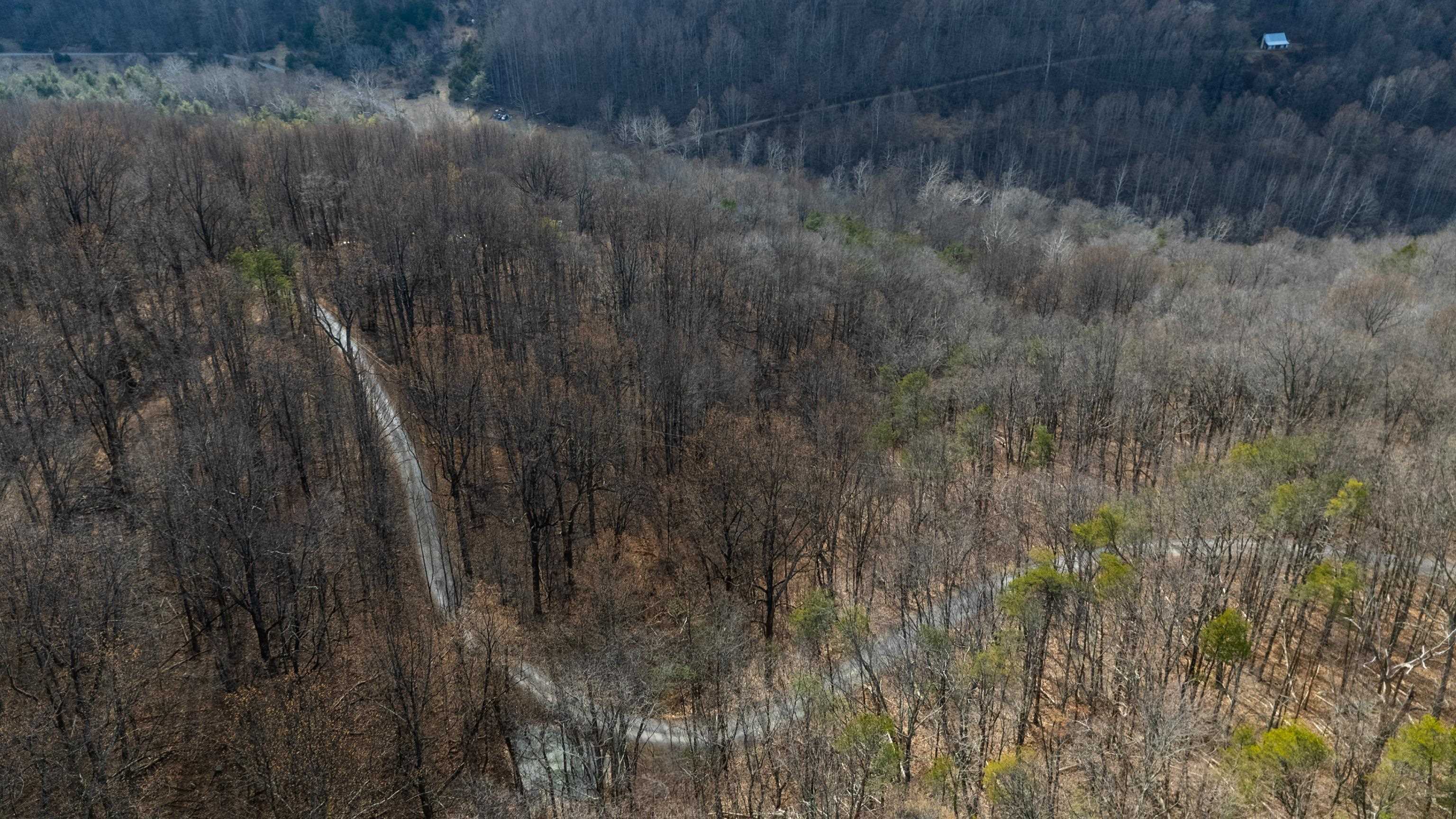 TBD HENSLEY HOLLOW, ELKTON, Virginia 22827, ,Land,TBD HENSLEY HOLLOW,672867 MLS # 672867 TBD HENSLEY HOLLOW, ELKTON, Virginia 22827, ,Land,TBD HENSLEY HOLLOW,672867 MLS # 672867