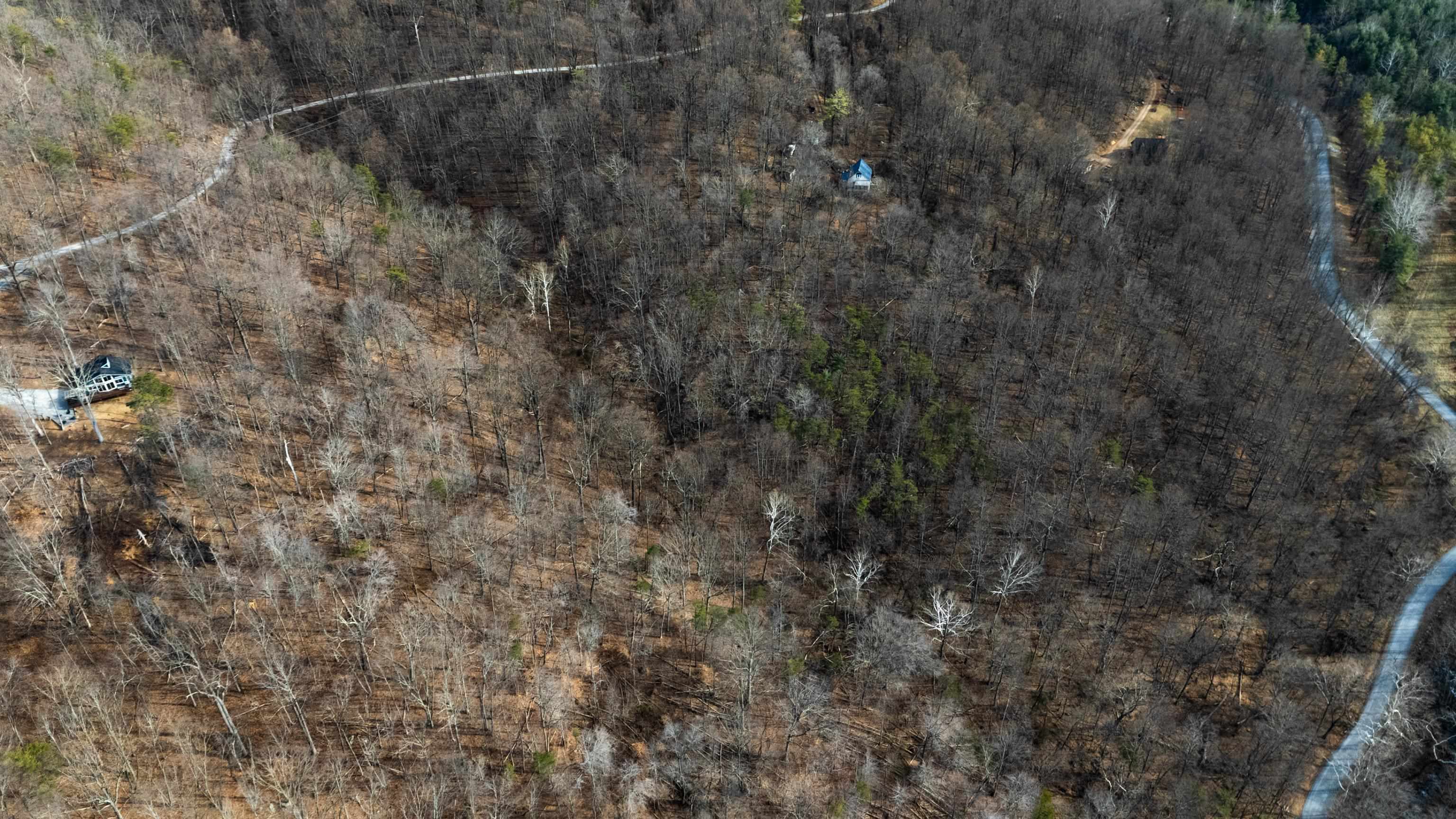 TBD HENSLEY HOLLOW, ELKTON, Virginia 22827, ,Land,TBD HENSLEY HOLLOW,672867 MLS # 672867 TBD HENSLEY HOLLOW, ELKTON, Virginia 22827, ,Land,TBD HENSLEY HOLLOW,672867 MLS # 672867