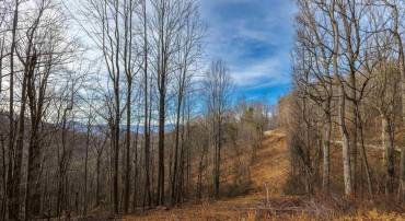 TBD HENSLEY HOLLOW, ELKTON, Virginia 22827, ,Land,TBD HENSLEY HOLLOW,672867 MLS # 672867