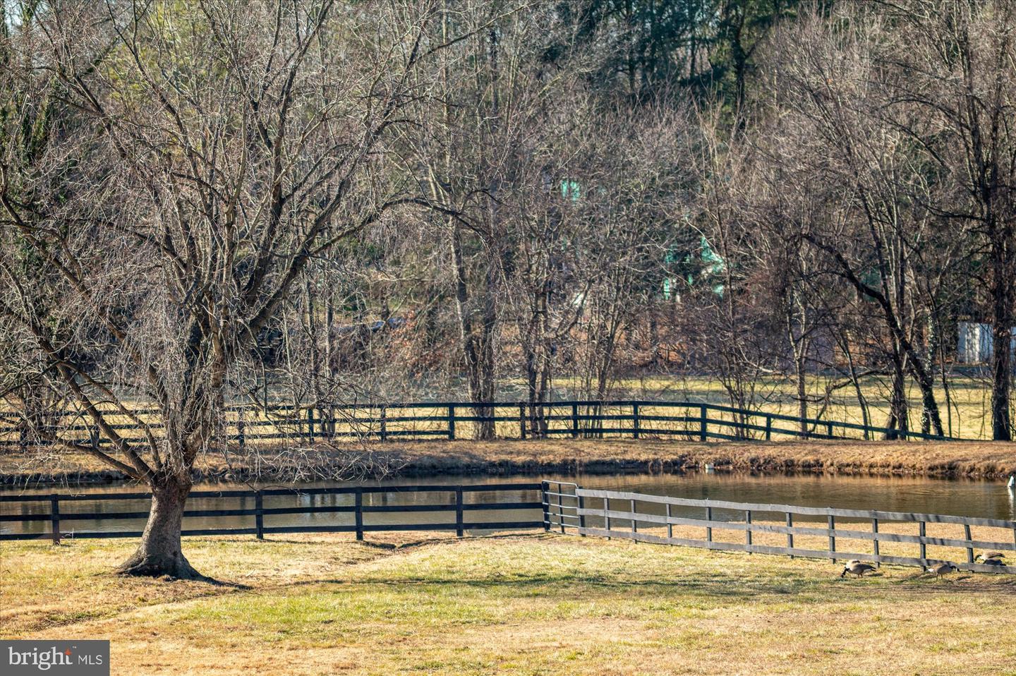 18935 YELLOW SCHOOLHOUSE RD, BLUEMONT, Virginia 20135, 5 Bedrooms Bedrooms, ,3 BathroomsBathrooms,Residential,For sale,18935 YELLOW SCHOOLHOUSE RD,VALO2107062 MLS # VALO2107062