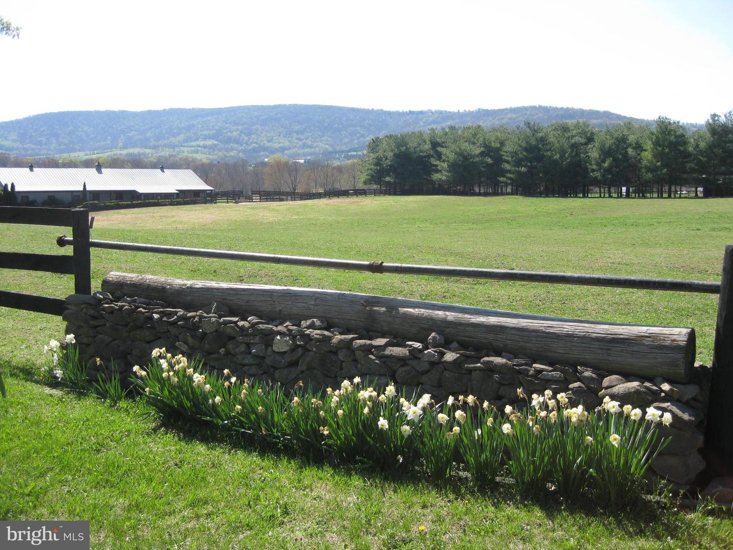 18935 YELLOW SCHOOLHOUSE RD, BLUEMONT, Virginia 20135, 5 Bedrooms Bedrooms, ,3 BathroomsBathrooms,Residential,For sale,18935 YELLOW SCHOOLHOUSE RD,VALO2107062 MLS # VALO2107062