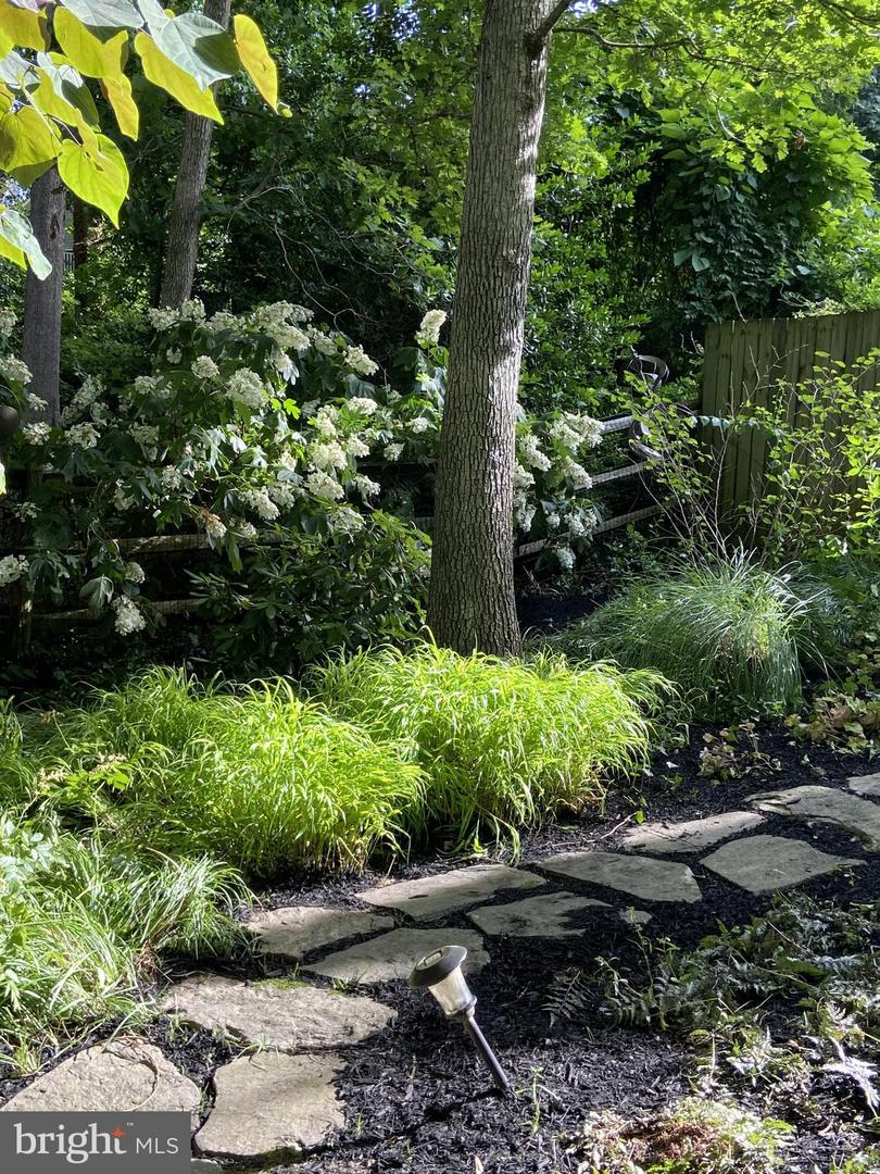 3402 CHARLESON ST, ANNANDALE, Virginia 22003, 5 Bedrooms Bedrooms, ,3 BathroomsBathrooms,Residential,For sale,3402 CHARLESON ST,VAFX2284018 MLS # VAFX2284018 3402 CHARLESON ST, ANNANDALE, Virginia 22003, 5 Bedrooms Bedrooms, ,3 BathroomsBathrooms,Residential,For sale,3402 CHARLESON ST,VAFX2284018 MLS # VAFX2284018