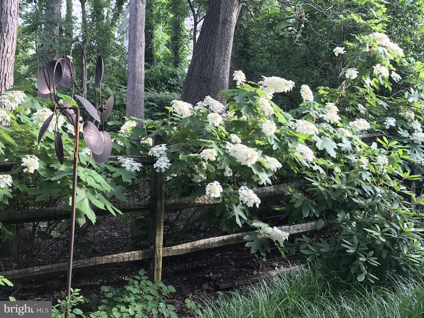 3402 CHARLESON ST, ANNANDALE, Virginia 22003, 5 Bedrooms Bedrooms, ,3 BathroomsBathrooms,Residential,For sale,3402 CHARLESON ST,VAFX2284018 MLS # VAFX2284018 3402 CHARLESON ST, ANNANDALE, Virginia 22003, 5 Bedrooms Bedrooms, ,3 BathroomsBathrooms,Residential,For sale,3402 CHARLESON ST,VAFX2284018 MLS # VAFX2284018