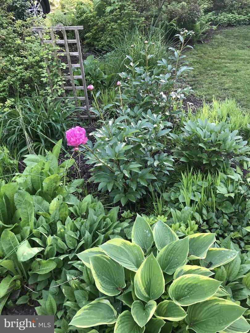 3402 CHARLESON ST, ANNANDALE, Virginia 22003, 5 Bedrooms Bedrooms, ,3 BathroomsBathrooms,Residential,For sale,3402 CHARLESON ST,VAFX2284018 MLS # VAFX2284018 3402 CHARLESON ST, ANNANDALE, Virginia 22003, 5 Bedrooms Bedrooms, ,3 BathroomsBathrooms,Residential,For sale,3402 CHARLESON ST,VAFX2284018 MLS # VAFX2284018