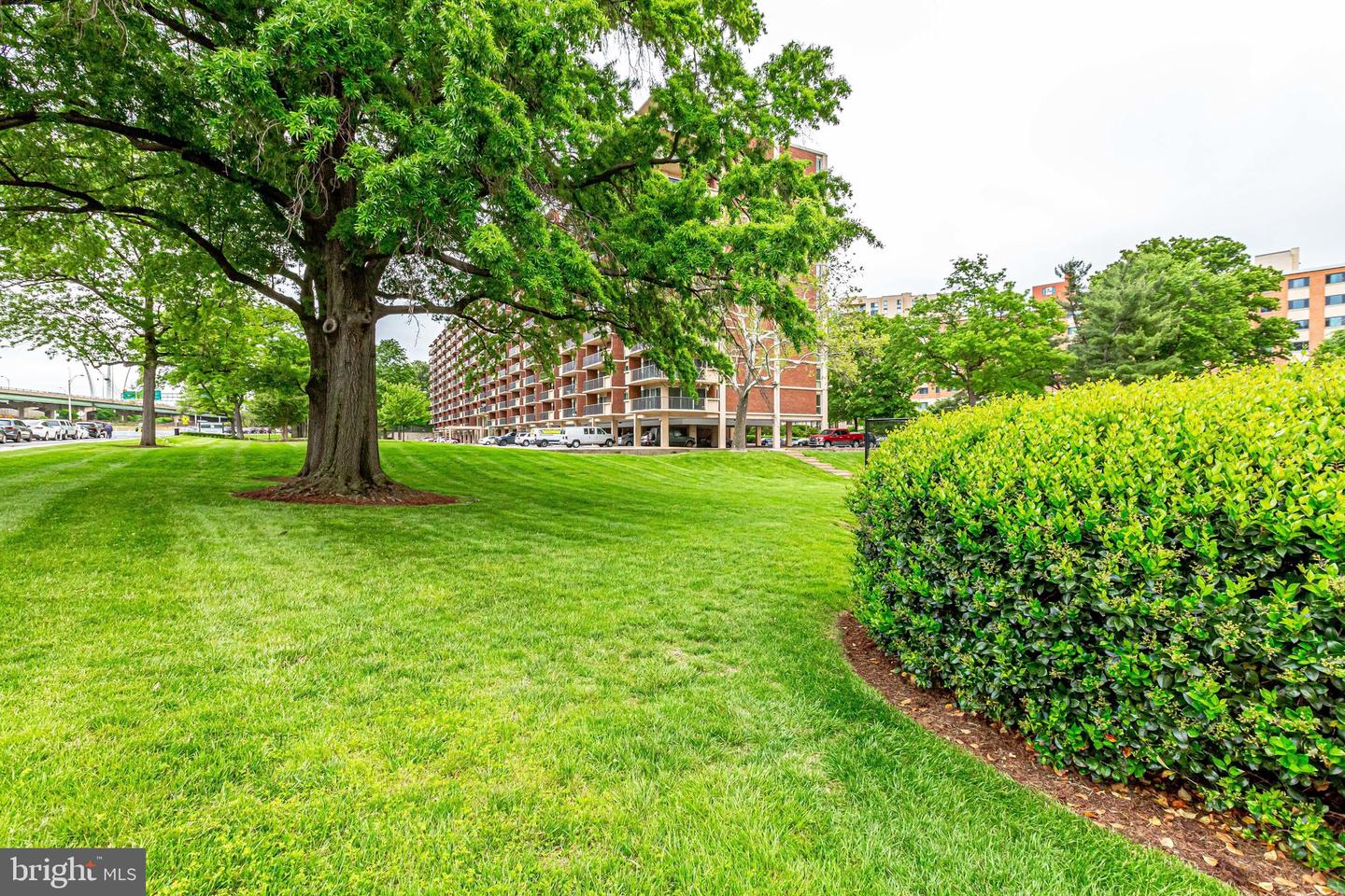 1300 ARMY NAVY DR #510, ARLINGTON, Virginia 22202, 1 Bedroom Bedrooms, ,1 BathroomBathrooms,Residential,For sale,1300 ARMY NAVY DR #510,VAAR2067342 MLS # VAAR2067342 1300 ARMY NAVY DR #510, ARLINGTON, Virginia 22202, 1 Bedroom Bedrooms, ,1 BathroomBathrooms,Residential,For sale,1300 ARMY NAVY DR #510,VAAR2067342 MLS # VAAR2067342