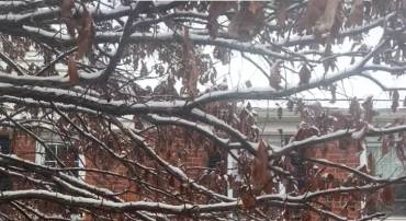 6507 10TH ST #B2, ALEXANDRIA, Virginia 22307, 2 Bedrooms Bedrooms, ,1 BathroomBathrooms,Residential,For sale,6507 10TH ST #B2,VAFX2285374 MLS # VAFX2285374