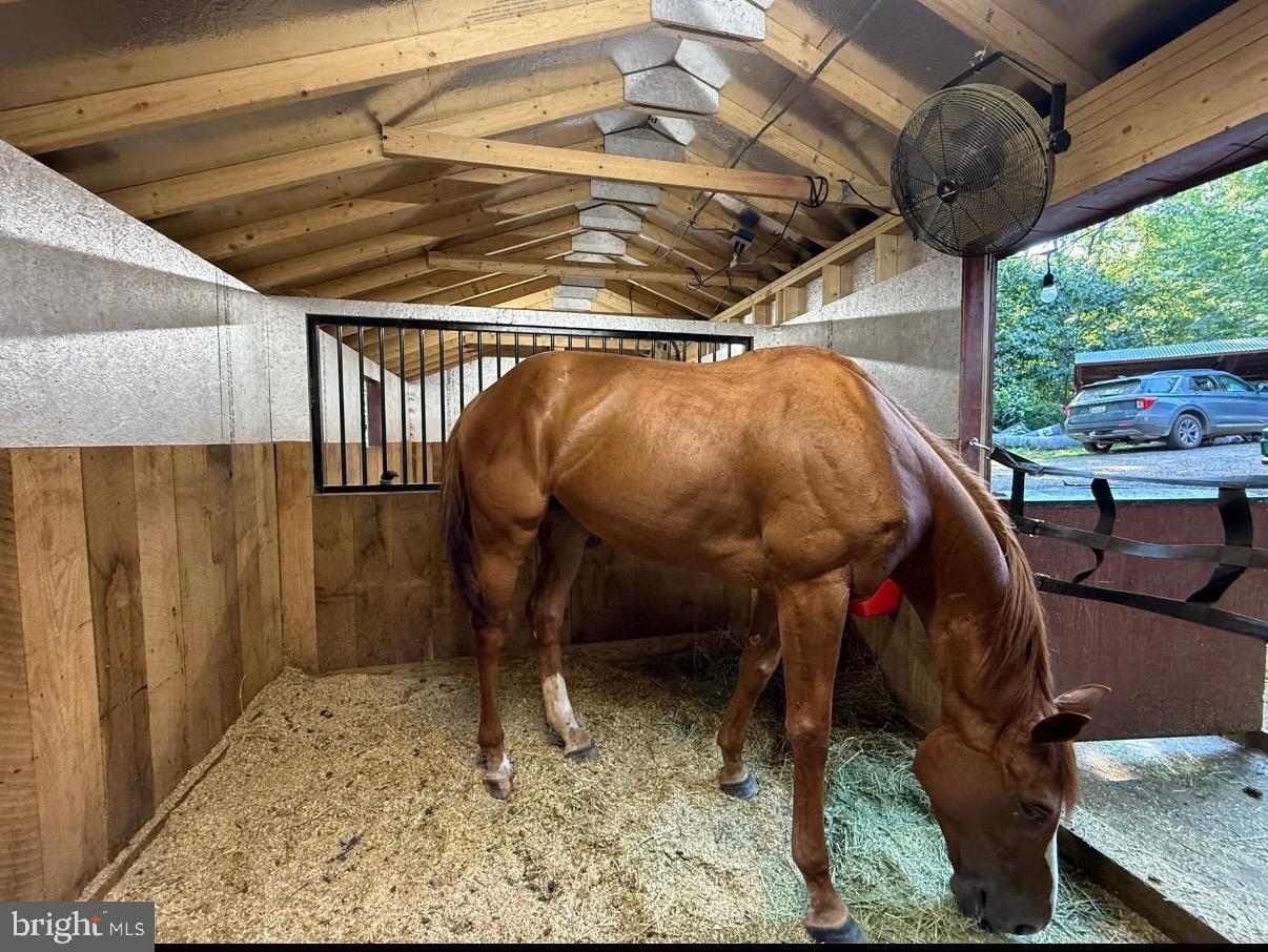 8487 BOTHA RD, WARRENTON, Virginia 20186, 3 Bedrooms Bedrooms, ,2 BathroomsBathrooms,Residential,For sale,8487 BOTHA RD,VAFQ2020282 MLS # VAFQ2020282 8487 BOTHA RD, WARRENTON, Virginia 20186, 3 Bedrooms Bedrooms, ,2 BathroomsBathrooms,Residential,For sale,8487 BOTHA RD,VAFQ2020282 MLS # VAFQ2020282