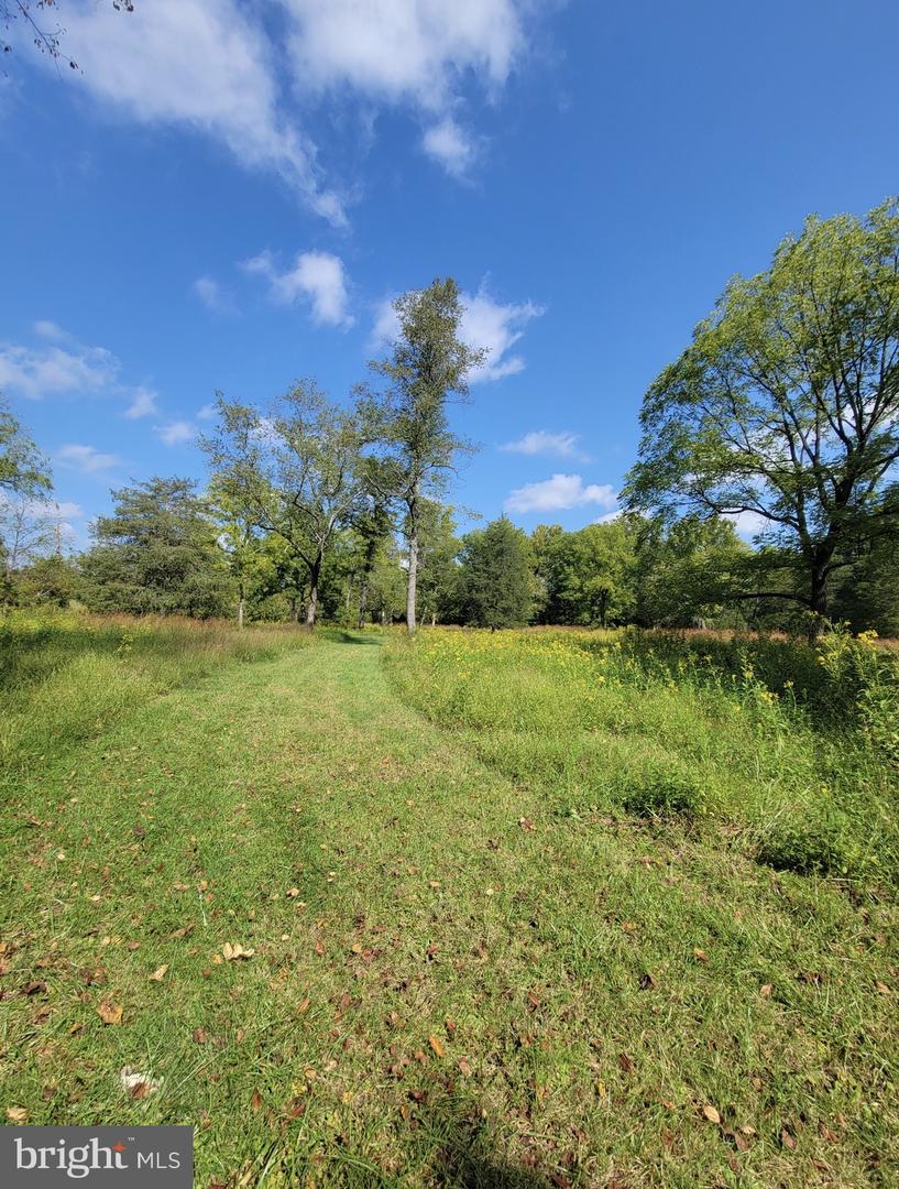 8487 BOTHA RD, WARRENTON, Virginia 20186, 3 Bedrooms Bedrooms, ,2 BathroomsBathrooms,Residential,For sale,8487 BOTHA RD,VAFQ2020282 MLS # VAFQ2020282 8487 BOTHA RD, WARRENTON, Virginia 20186, 3 Bedrooms Bedrooms, ,2 BathroomsBathrooms,Residential,For sale,8487 BOTHA RD,VAFQ2020282 MLS # VAFQ2020282