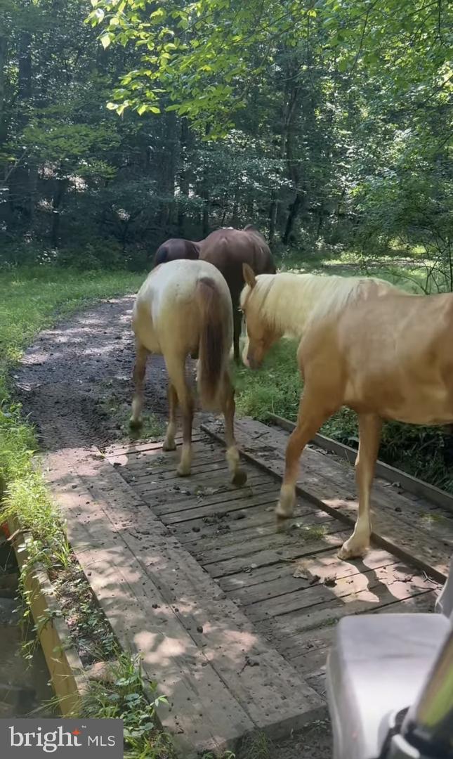 8487 BOTHA RD, WARRENTON, Virginia 20186, 3 Bedrooms Bedrooms, ,2 BathroomsBathrooms,Residential,For sale,8487 BOTHA RD,VAFQ2020282 MLS # VAFQ2020282 8487 BOTHA RD, WARRENTON, Virginia 20186, 3 Bedrooms Bedrooms, ,2 BathroomsBathrooms,Residential,For sale,8487 BOTHA RD,VAFQ2020282 MLS # VAFQ2020282