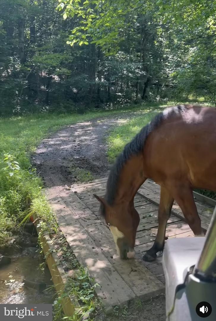 8487 BOTHA RD, WARRENTON, Virginia 20186, 3 Bedrooms Bedrooms, ,2 BathroomsBathrooms,Residential,For sale,8487 BOTHA RD,VAFQ2020282 MLS # VAFQ2020282 8487 BOTHA RD, WARRENTON, Virginia 20186, 3 Bedrooms Bedrooms, ,2 BathroomsBathrooms,Residential,For sale,8487 BOTHA RD,VAFQ2020282 MLS # VAFQ2020282