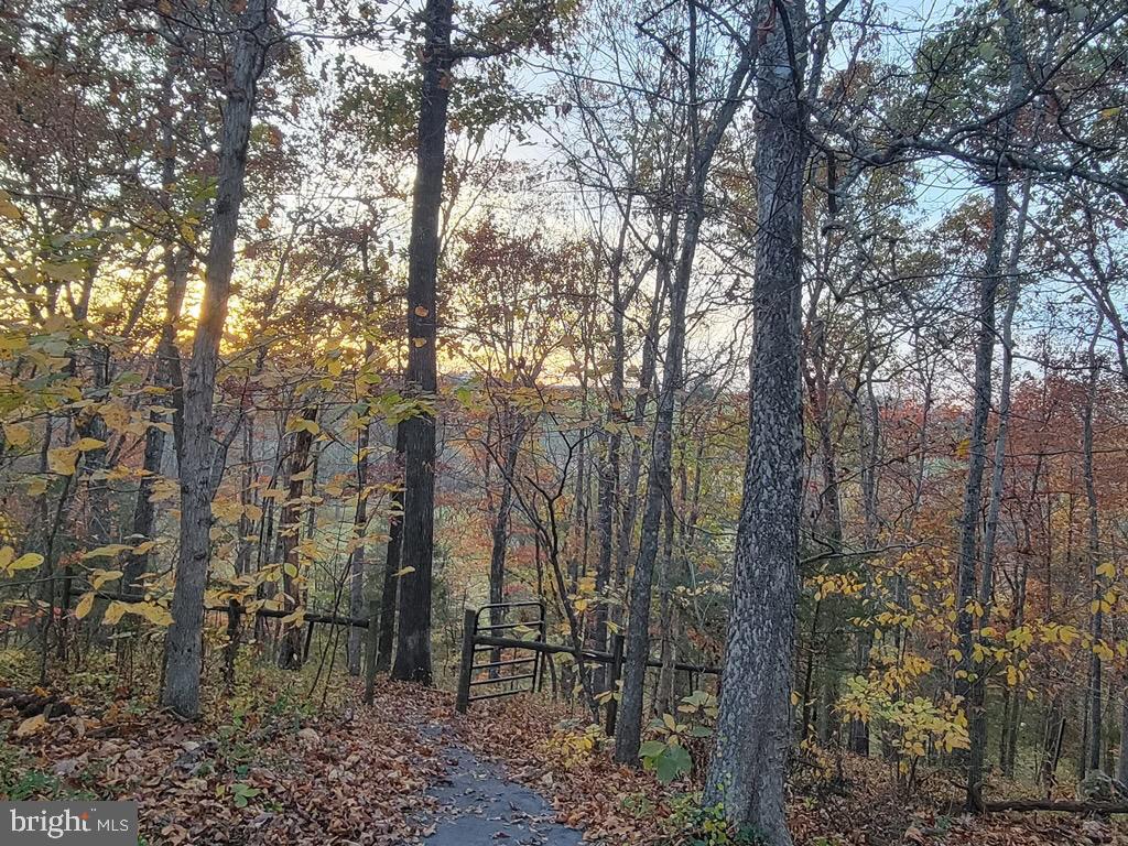 8487 BOTHA RD, WARRENTON, Virginia 20186, 3 Bedrooms Bedrooms, ,2 BathroomsBathrooms,Residential,For sale,8487 BOTHA RD,VAFQ2020282 MLS # VAFQ2020282