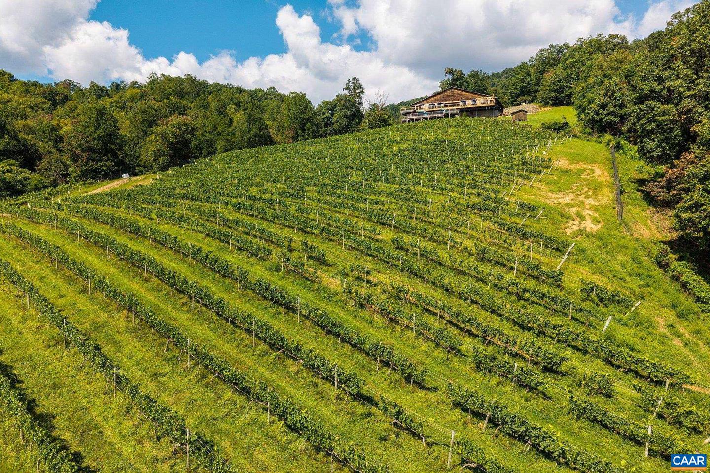 1376A WYATT MOUNTAIN RD, DYKE, Virginia 22935, 4 Bedrooms Bedrooms, ,4 BathroomsBathrooms,Residential,For sale,1376A WYATT MOUNTAIN RD,672865 MLS # 672865