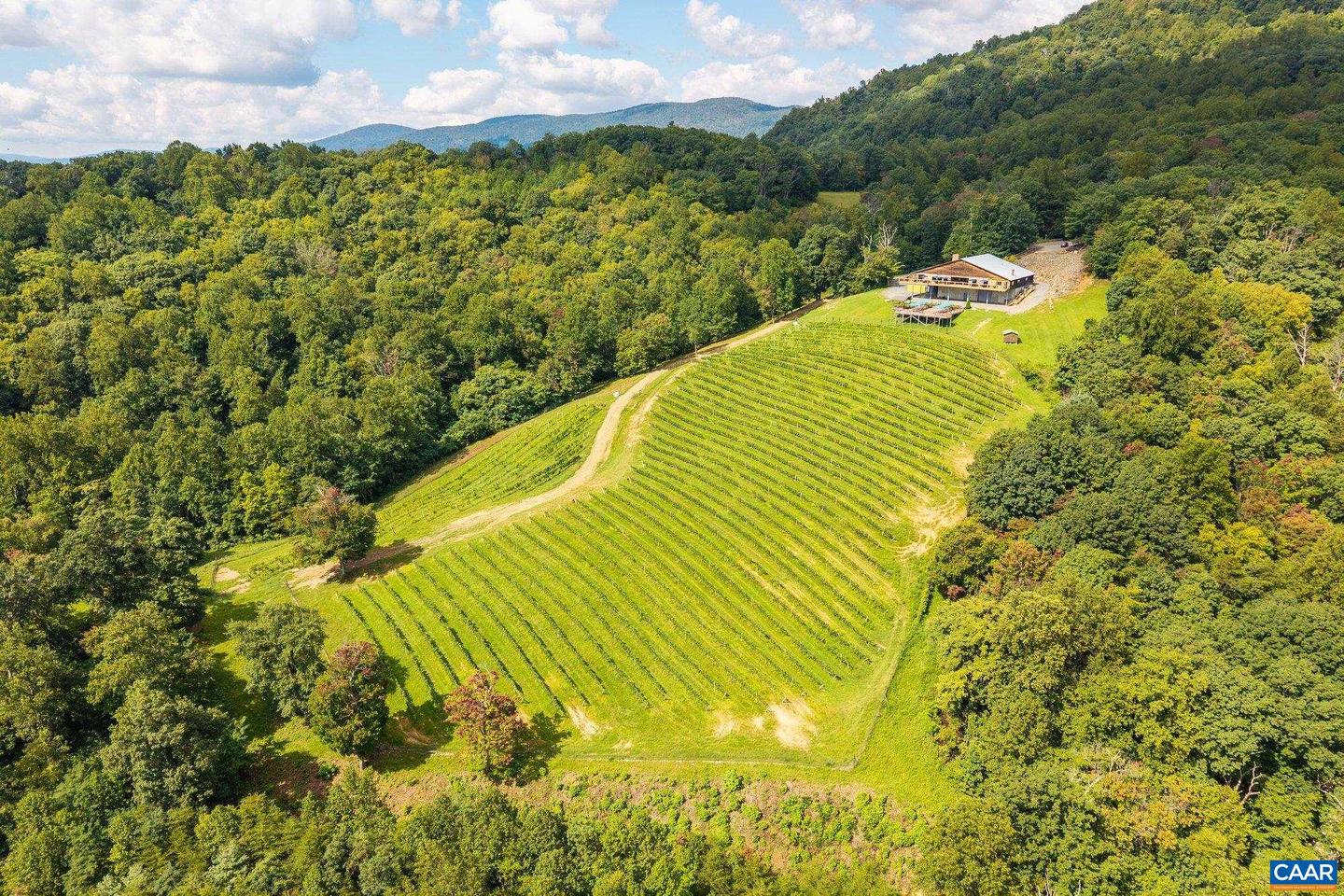 1376A WYATT MOUNTAIN RD, DYKE, Virginia 22935, 4 Bedrooms Bedrooms, ,4 BathroomsBathrooms,Residential,For sale,1376A WYATT MOUNTAIN RD,672865 MLS # 672865