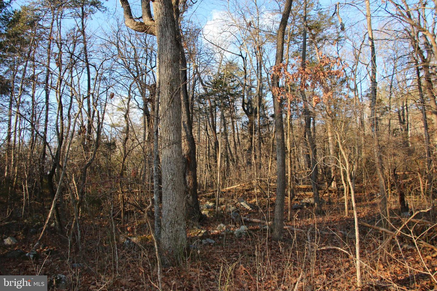 LOOKOUT DR, SHENANDOAH, Virginia 22849, ,Land,For sale,LOOKOUT DR,VAPA2005946 MLS # VAPA2005946