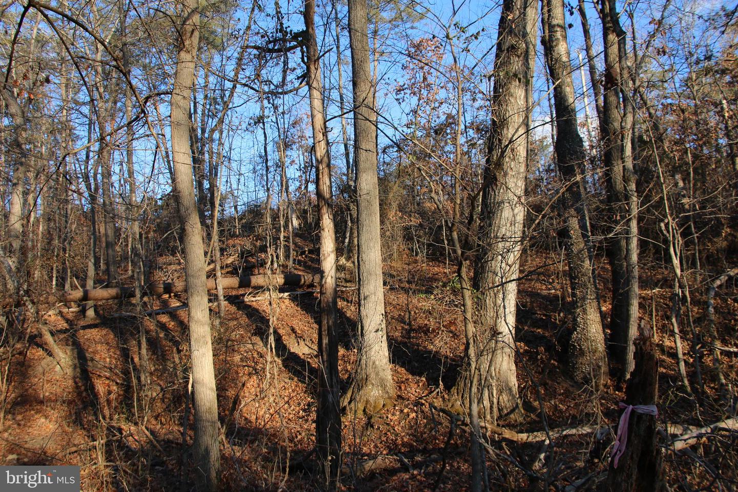 LOOKOUT DR, SHENANDOAH, Virginia 22849, ,Land,For sale,LOOKOUT DR,VAPA2005946 MLS # VAPA2005946