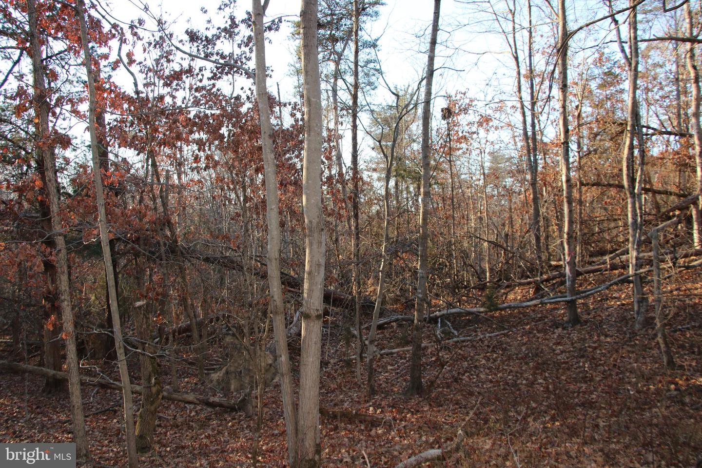LOOKOUT DR, SHENANDOAH, Virginia 22849, ,Land,For sale,LOOKOUT DR,VAPA2005946 MLS # VAPA2005946