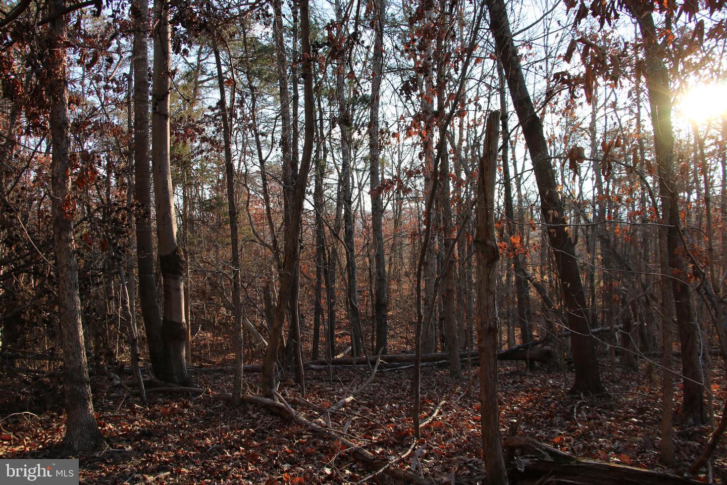 LOOKOUT DR, SHENANDOAH, Virginia 22849, ,Land,For sale,LOOKOUT DR,VAPA2005946 MLS # VAPA2005946