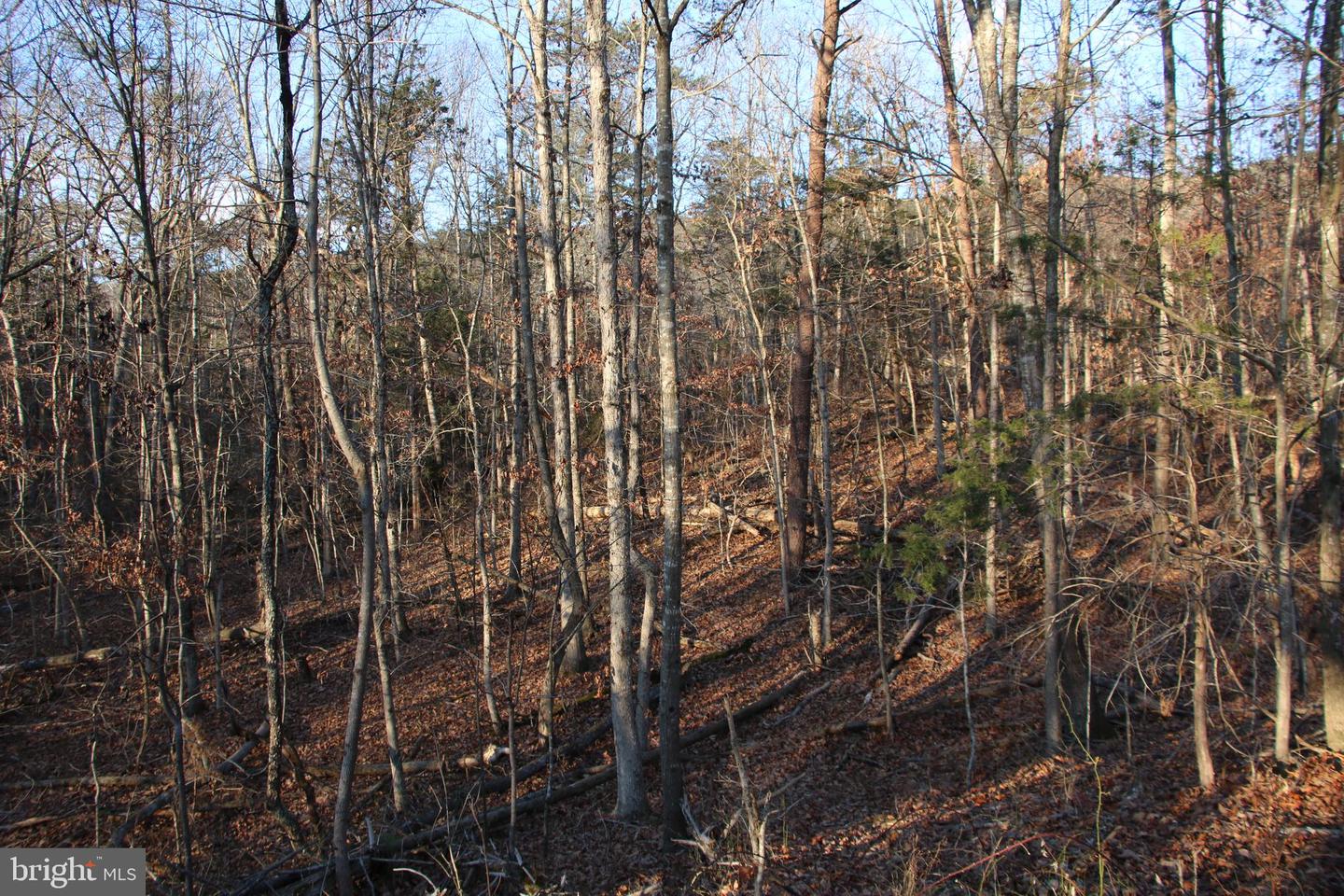 LOOKOUT DR, SHENANDOAH, Virginia 22849, ,Land,For sale,LOOKOUT DR,VAPA2005946 MLS # VAPA2005946