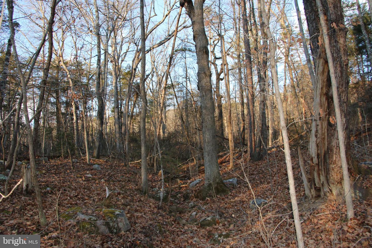 LOOKOUT DR, SHENANDOAH, Virginia 22849, ,Land,For sale,LOOKOUT DR,VAPA2005946 MLS # VAPA2005946