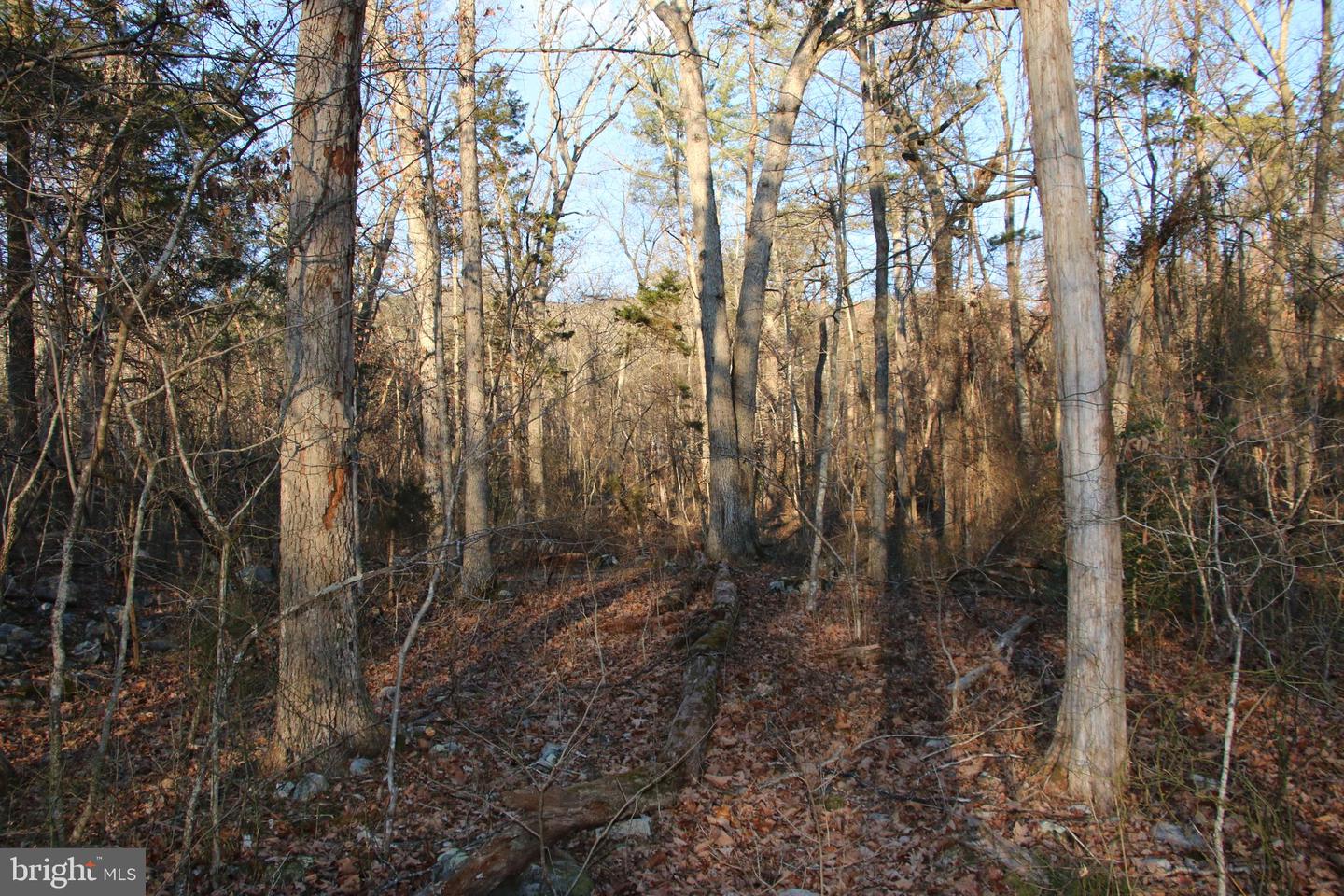 LOOKOUT DR, SHENANDOAH, Virginia 22849, ,Land,For sale,LOOKOUT DR,VAPA2005946 MLS # VAPA2005946