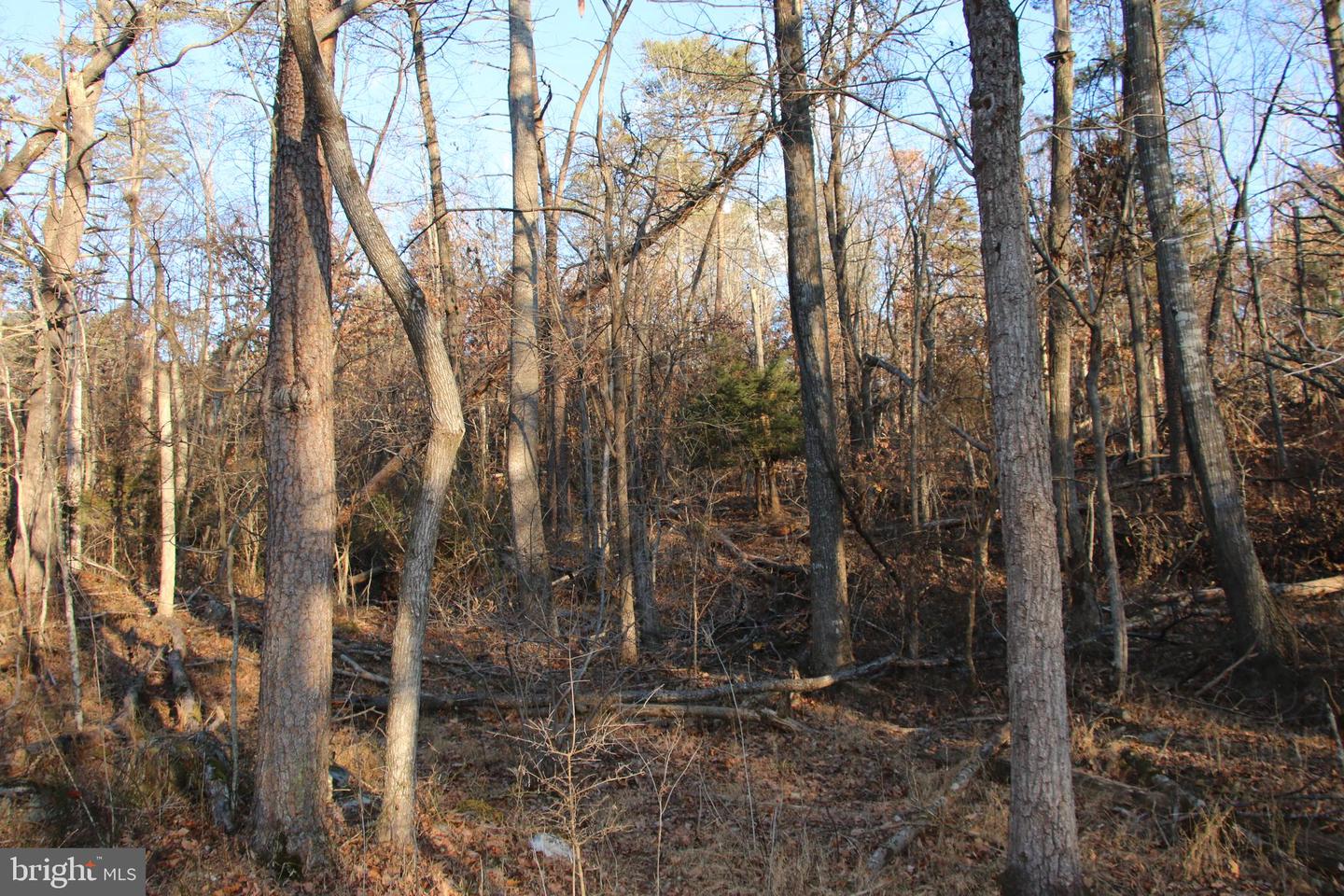 LOOKOUT DR, SHENANDOAH, Virginia 22849, ,Land,For sale,LOOKOUT DR,VAPA2005946 MLS # VAPA2005946