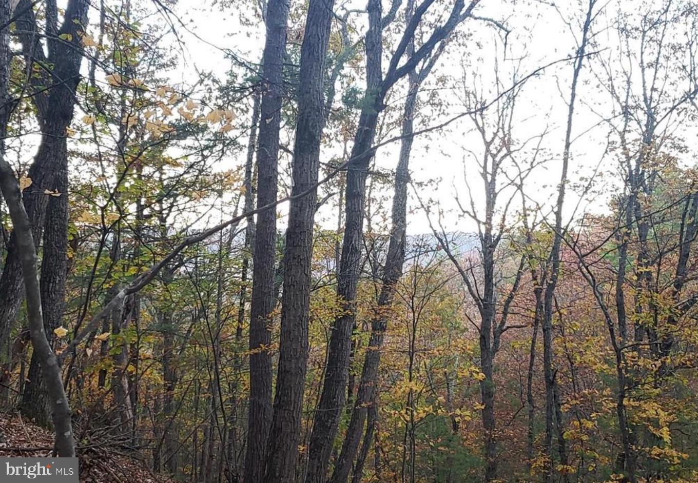 0 FAIRWAY AVE #LOT 30, BASYE, Virginia 22810, ,Land,For sale,0 FAIRWAY AVE #LOT 30,VASH2013470 MLS # VASH2013470