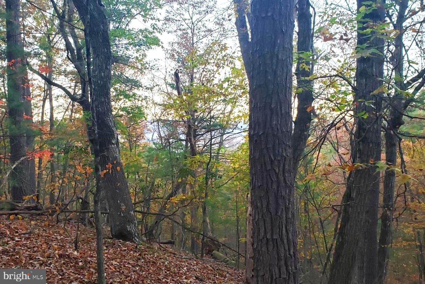 0 FAIRWAY AVE #LOT 30, BASYE, Virginia 22810, ,Land,For sale,0 FAIRWAY AVE #LOT 30,VASH2013470 MLS # VASH2013470