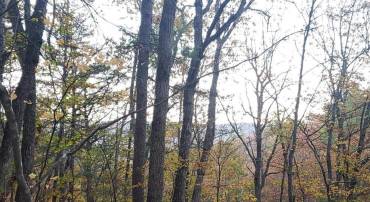 0 FAIRWAY AVE #LOT 30, BASYE, Virginia 22810, ,Land,For sale,0 FAIRWAY AVE #LOT 30,VASH2013470 MLS # VASH2013470