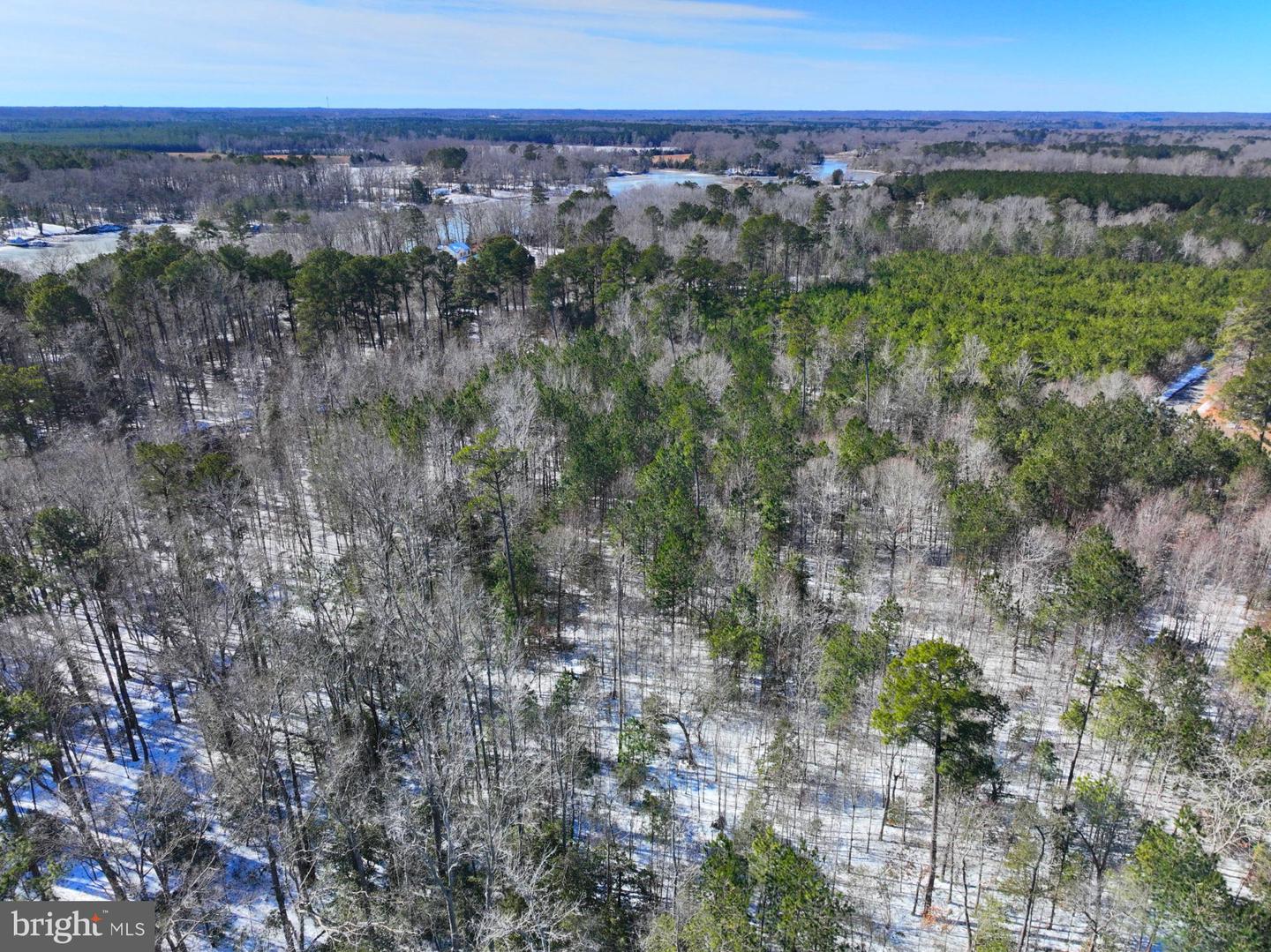 00 S TIDWELLS RD, MONTROSS, Virginia 22520, ,Land,For sale,00 S TIDWELLS RD,VAWE2010442 MLS # VAWE2010442