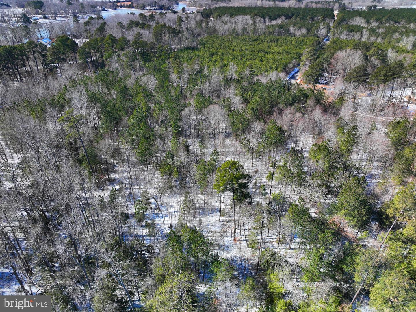 00 S TIDWELLS RD, MONTROSS, Virginia 22520, ,Land,For sale,00 S TIDWELLS RD,VAWE2010442 MLS # VAWE2010442