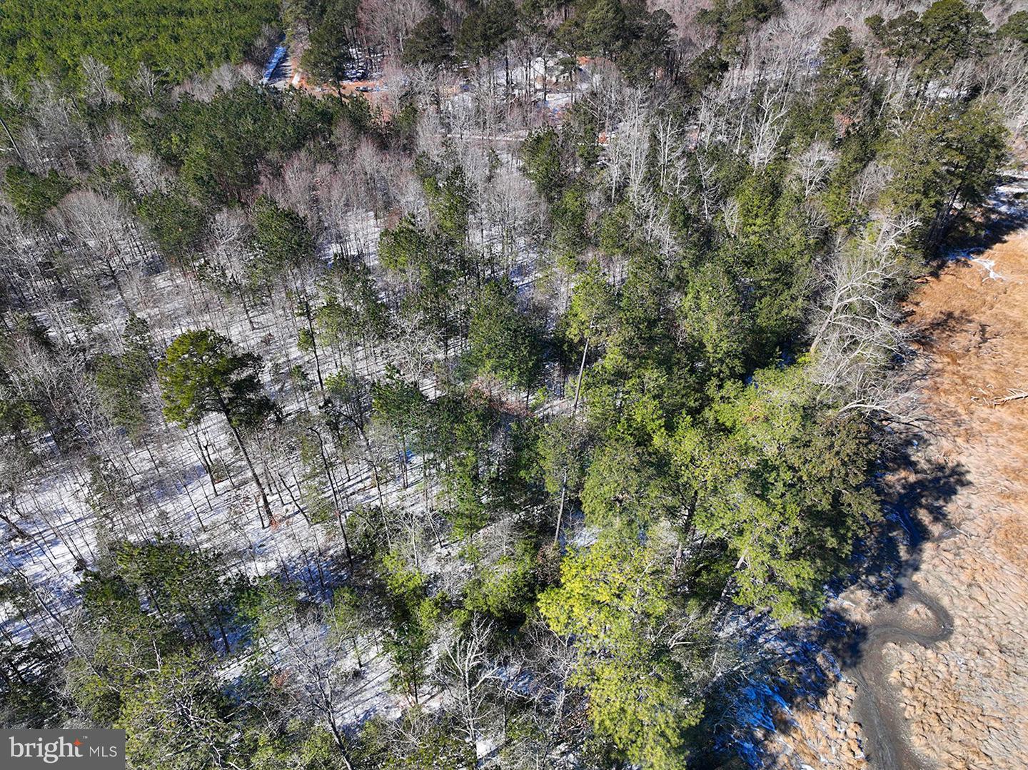 00 S TIDWELLS RD, MONTROSS, Virginia 22520, ,Land,For sale,00 S TIDWELLS RD,VAWE2010442 MLS # VAWE2010442