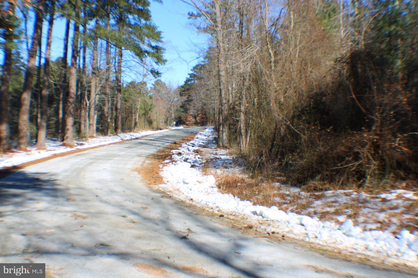 00 S TIDWELLS RD, MONTROSS, Virginia 22520, ,Land,For sale,00 S TIDWELLS RD,VAWE2010442 MLS # VAWE2010442